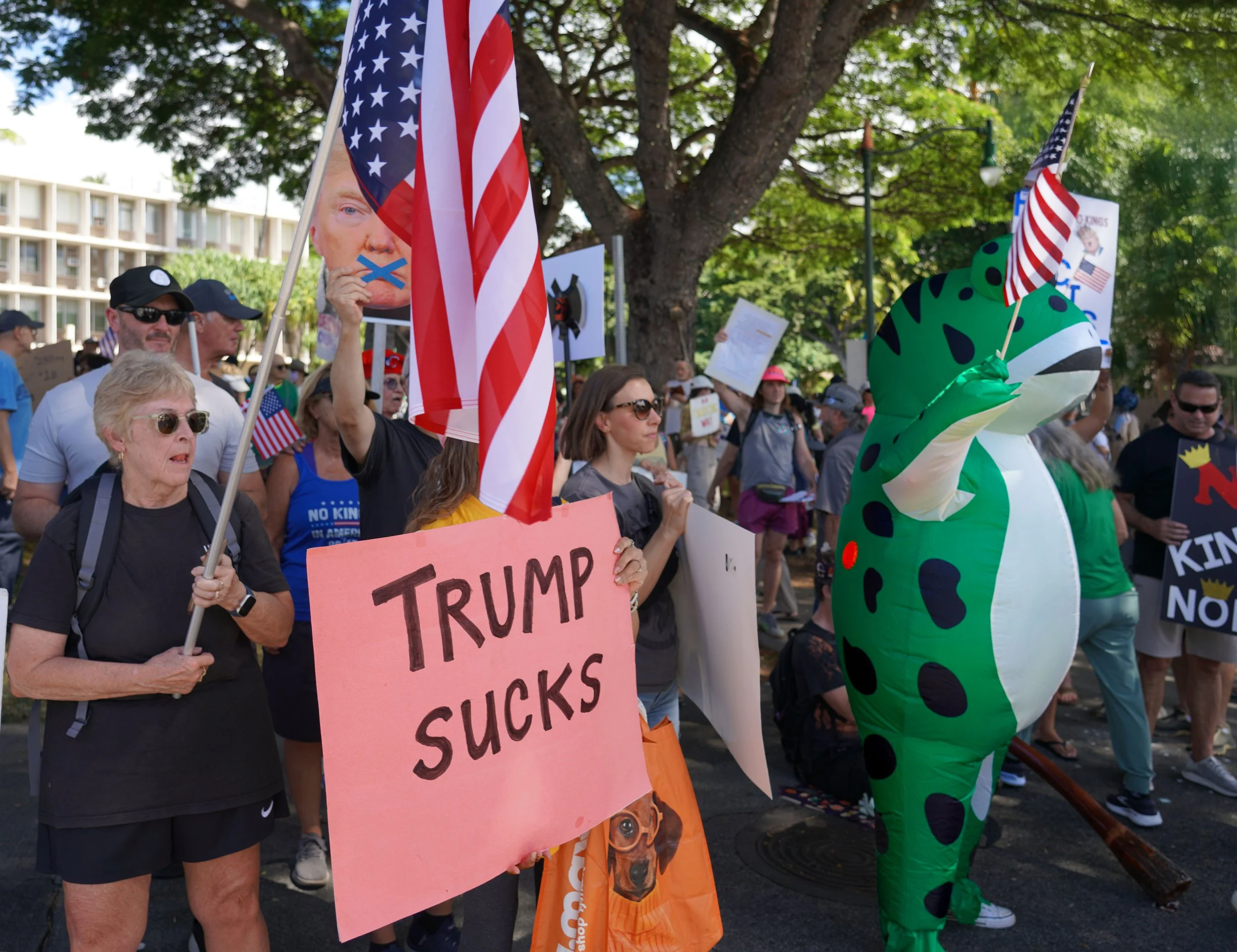 DSC07077 Trump Sucks.jpg