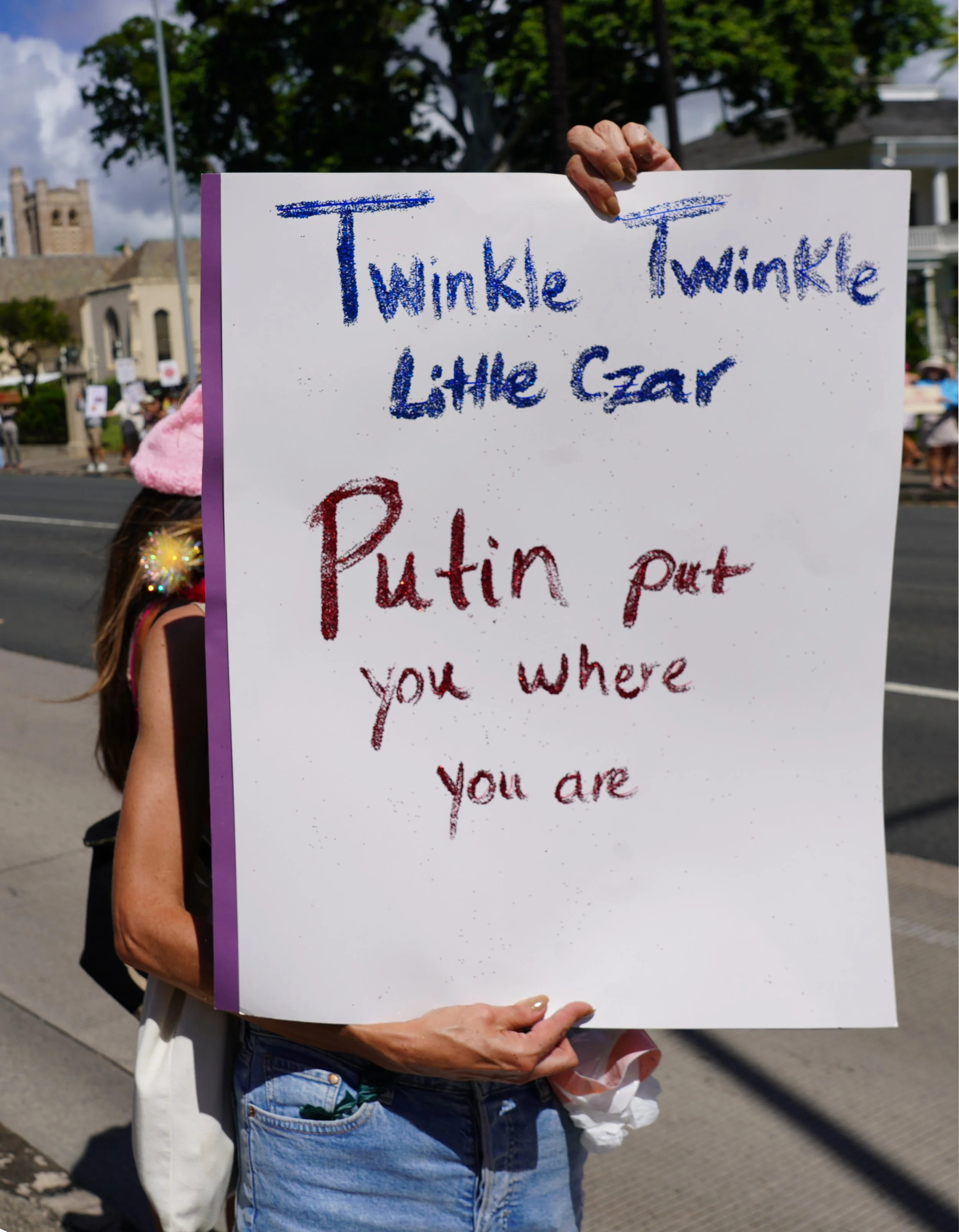 DSC07180 twinkle twinkle little czar.jpg