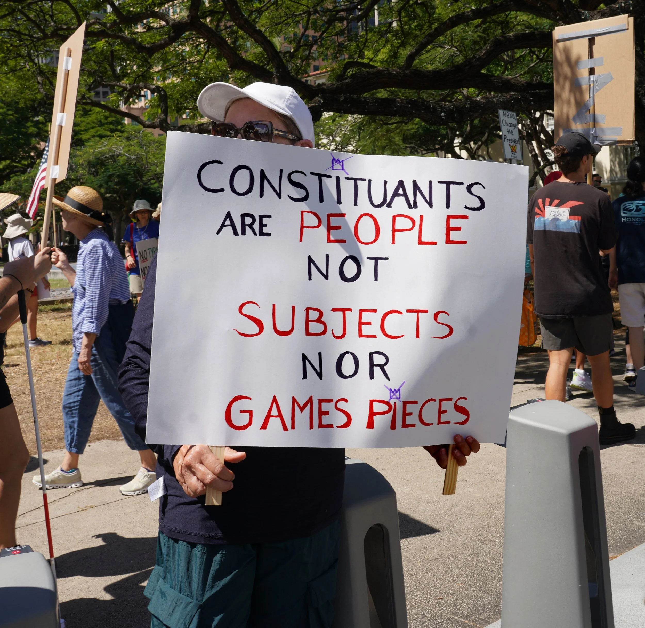 DSC07212 Constiturents.jpg