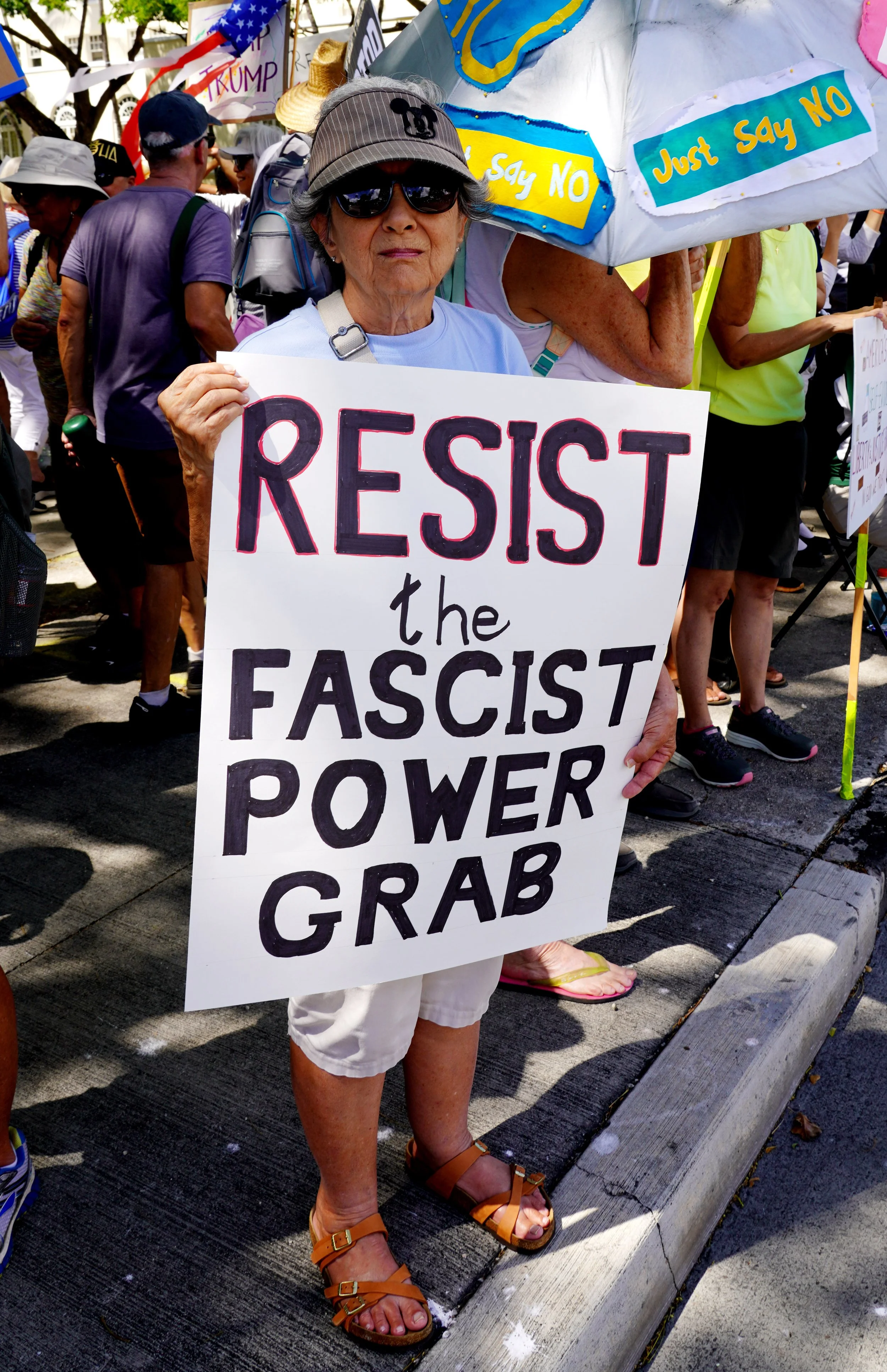 DSC07227 Resist power grab.jpg