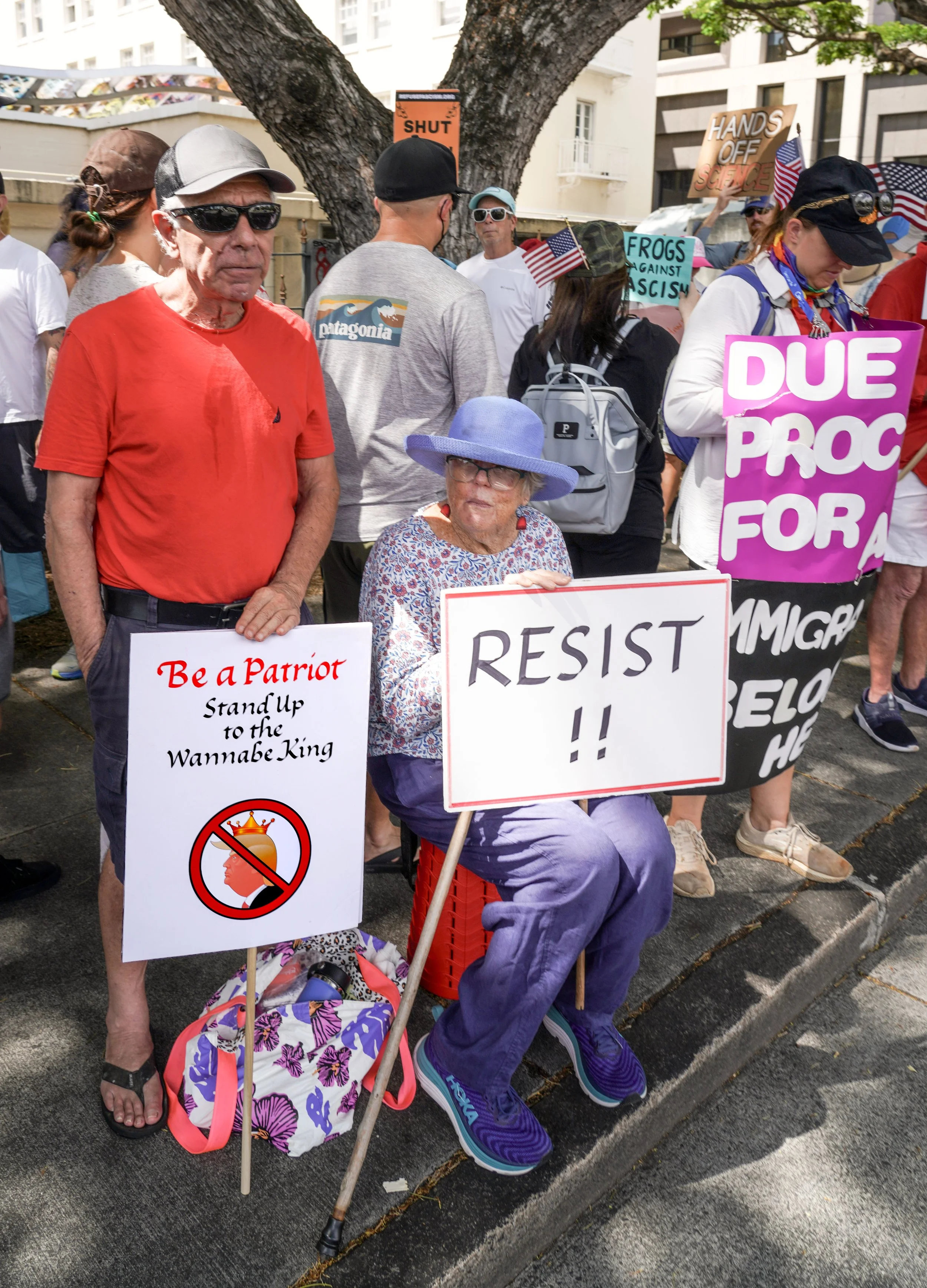 DSC07253 Resist.jpg