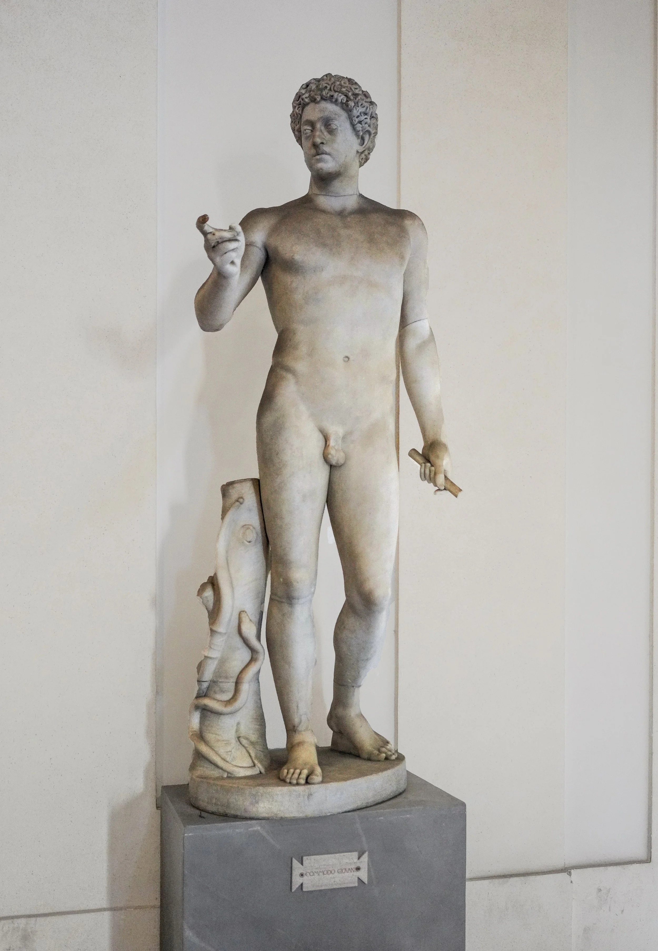 Nude Ephebe (Greek term for adolescent youth in training (possibly Apollo Belvedere)