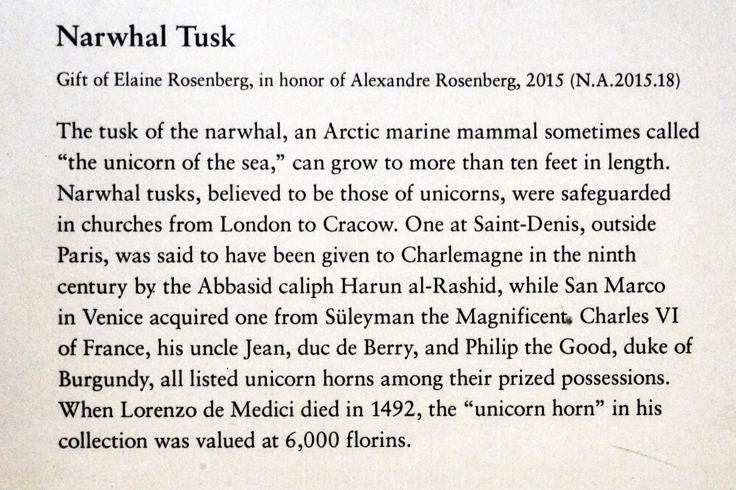 DSC05794 INFO Narwhal_sm.jpg