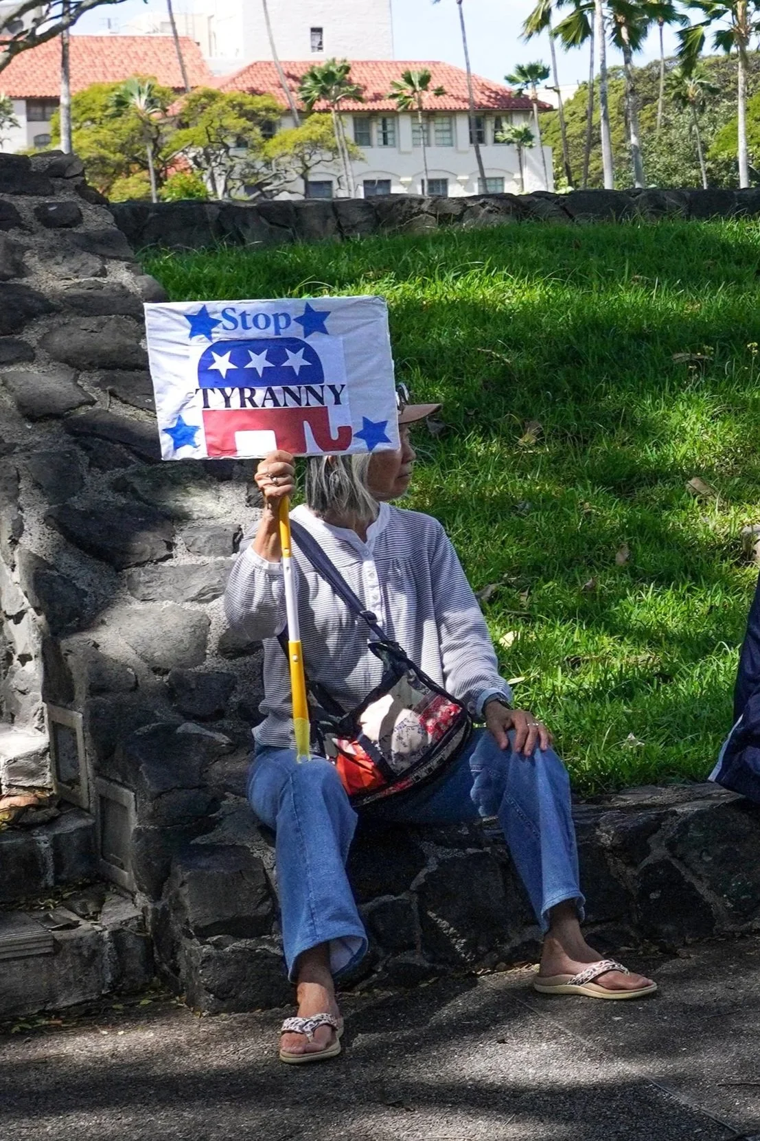 DSC07480_End Tyranny_V-2.jpg