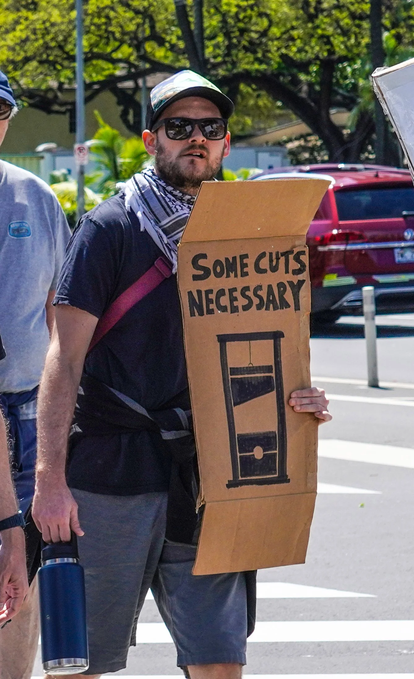 DSC07518_D_Some Cuts Necessary.jpg