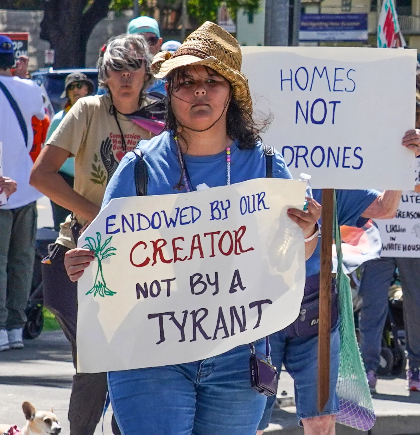 DSC07531_endowed by creator.jpg