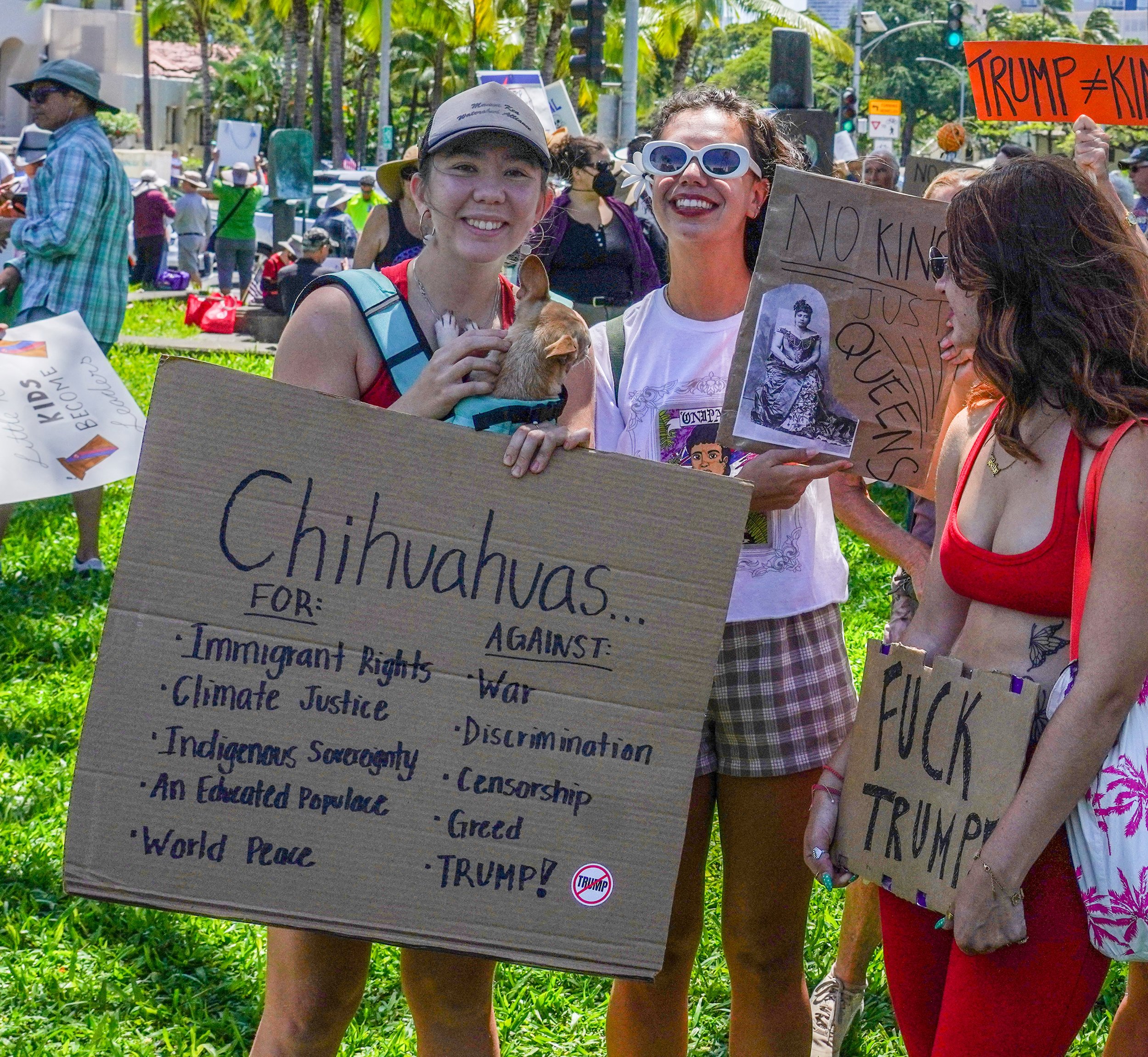DSC07759 Chihuahuas vs.jpg