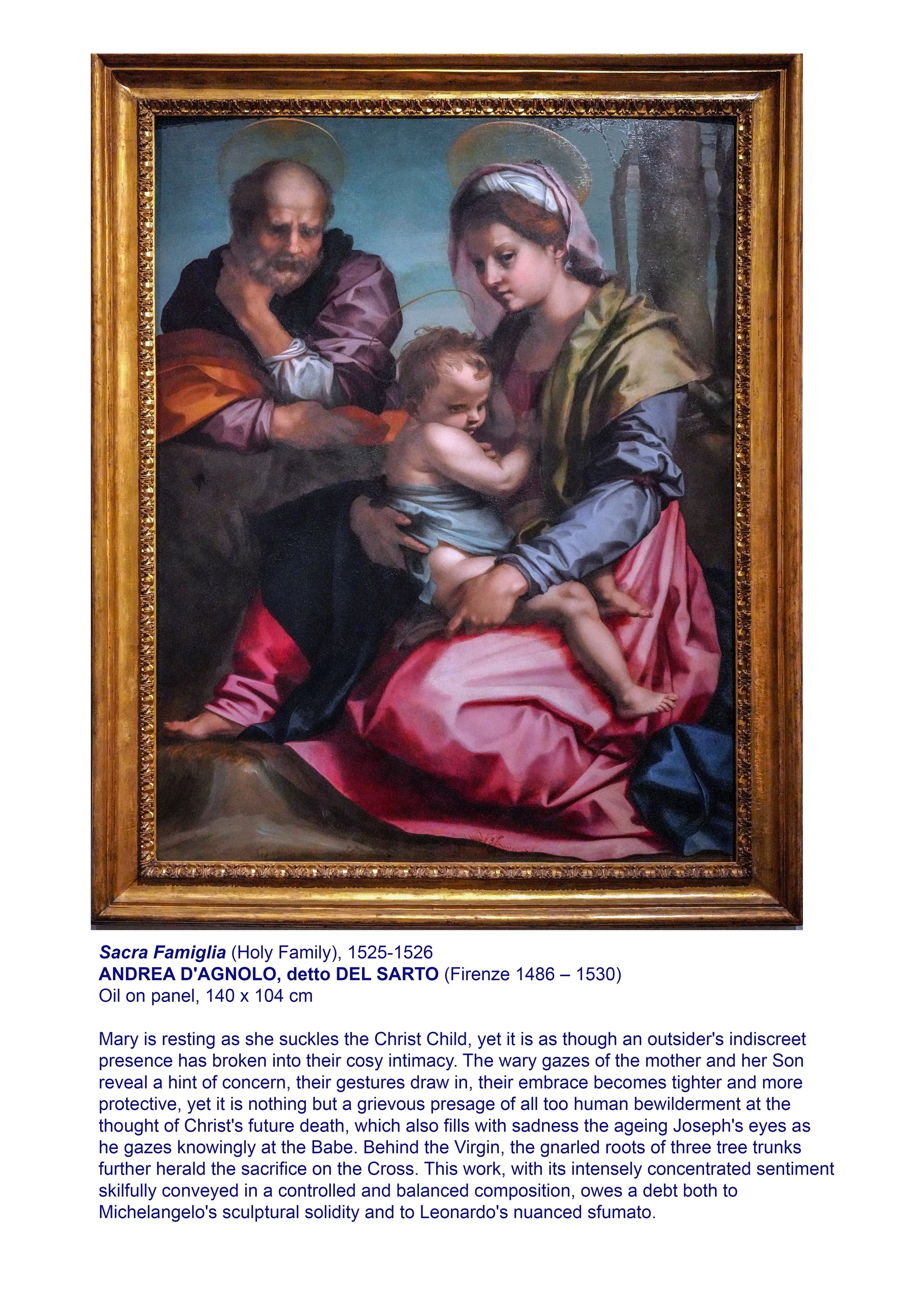 DSC02371__Holy Family_del Sarto_1525-26_V-3.jpg