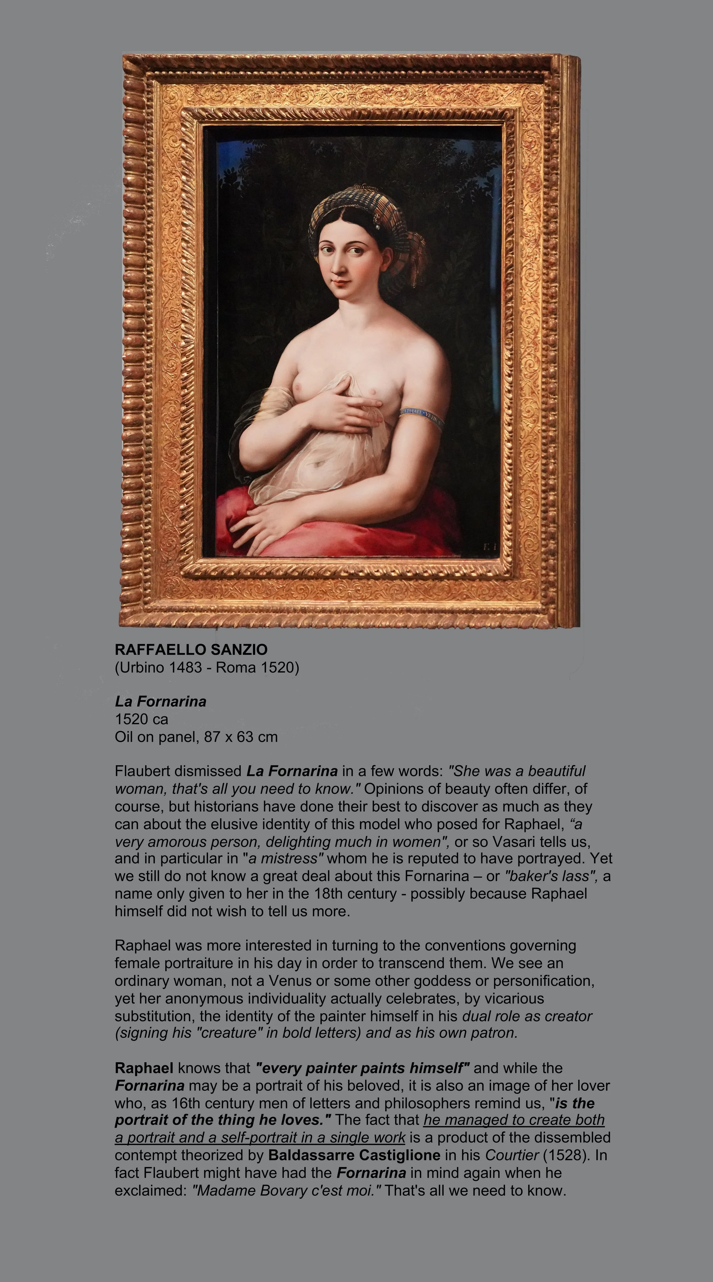 DSC02425_La Fornarina_Raphael_1520_Barberini Coll_FIN V-3.jpg