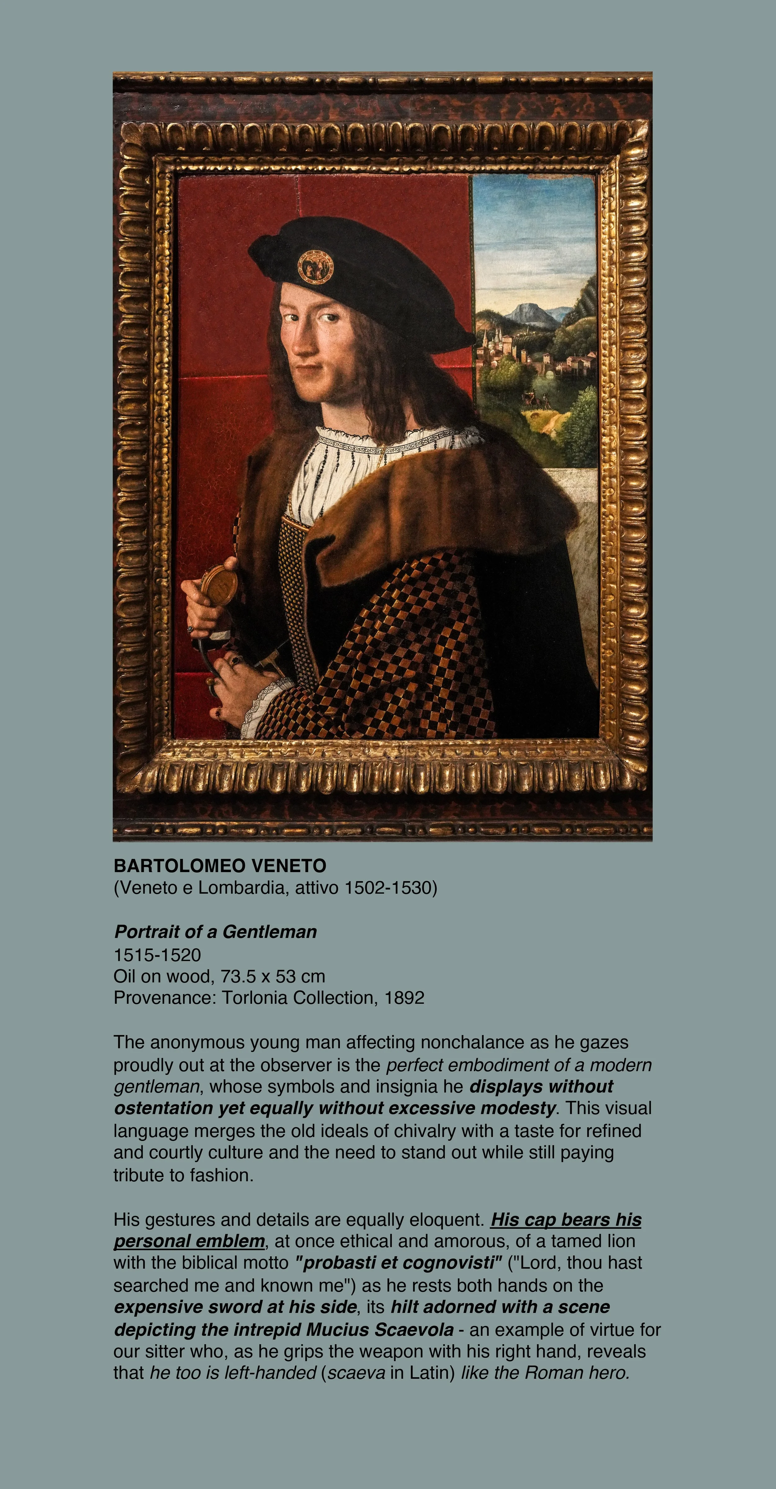 DSC02442_Portrait of a Gentleman_Bartolomeo Veneto_V-2-sm ST-2.jpg