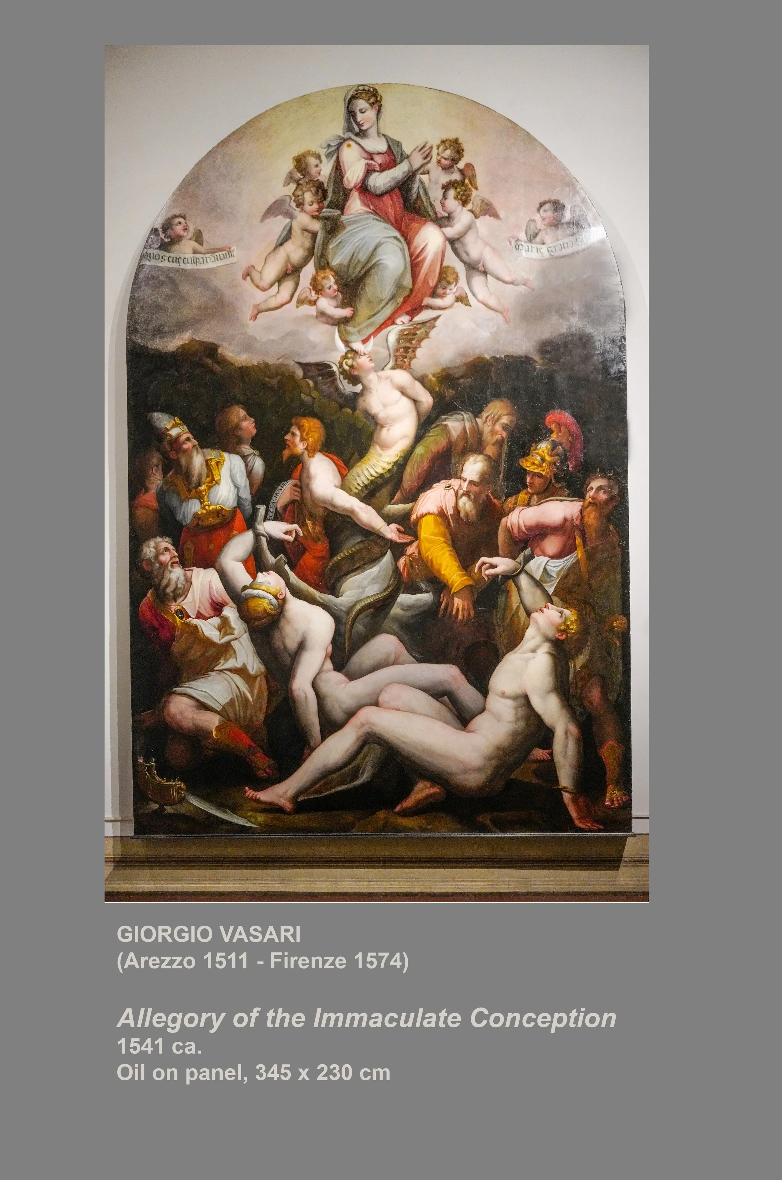 DSC02453_Allegory Immaculate Concep_Vasari-1541_V-3.jpg