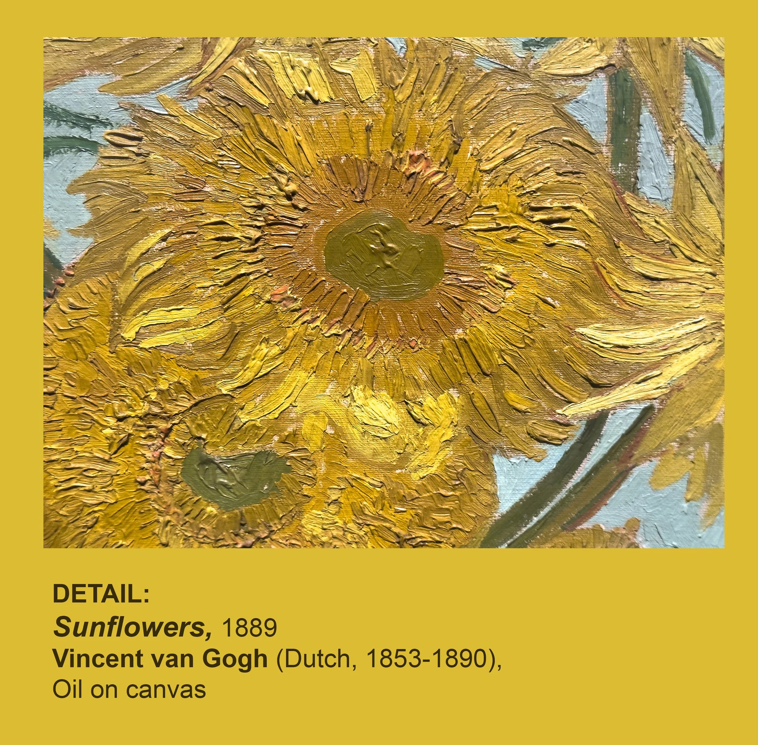 IMG_5454_W_DETAIL_Sunflowers-1889_Vincent van Gogh REV_W.jpg