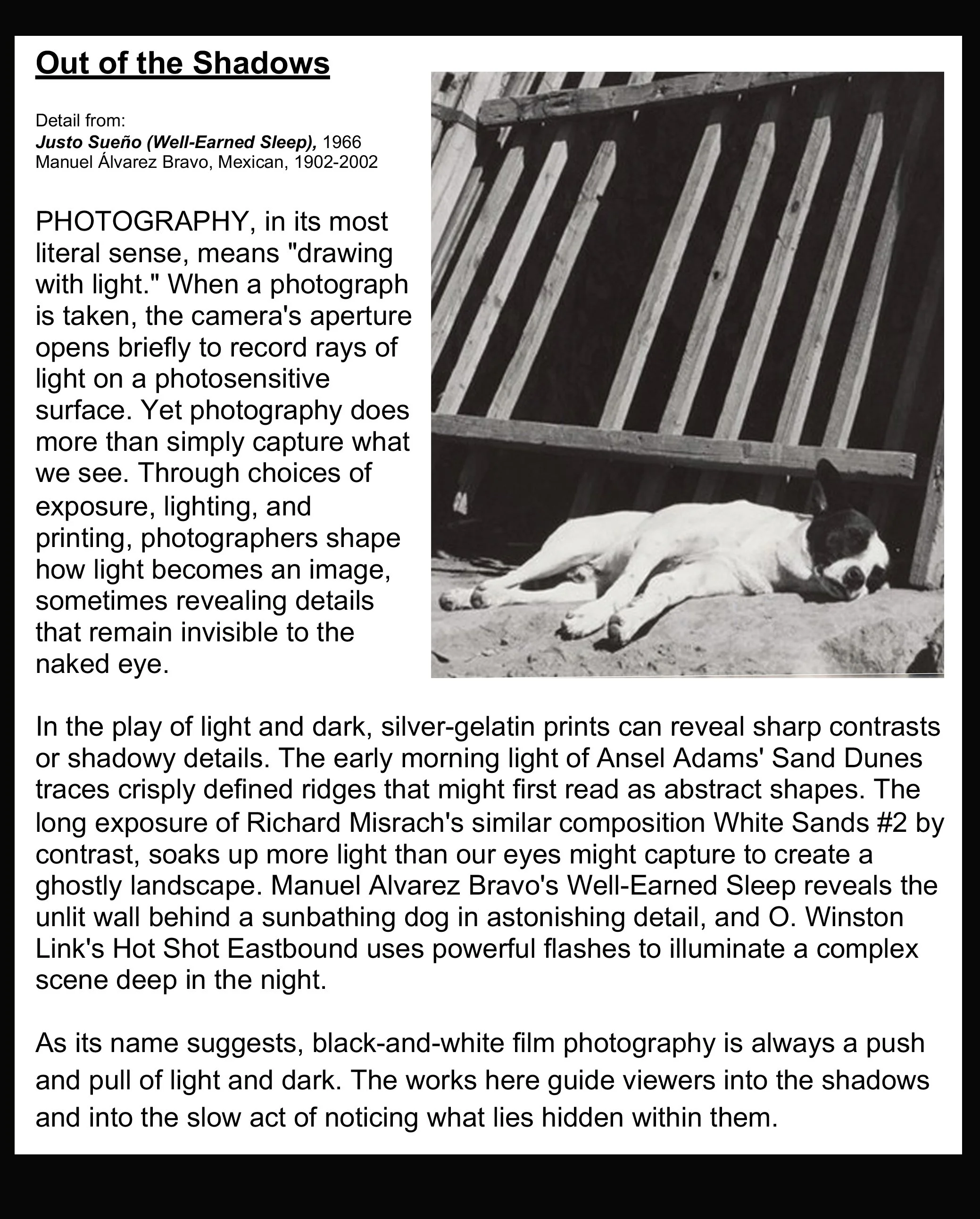 01_IMG_6731-W_INFO_Out of the Shadows_W-ST-2.jpg