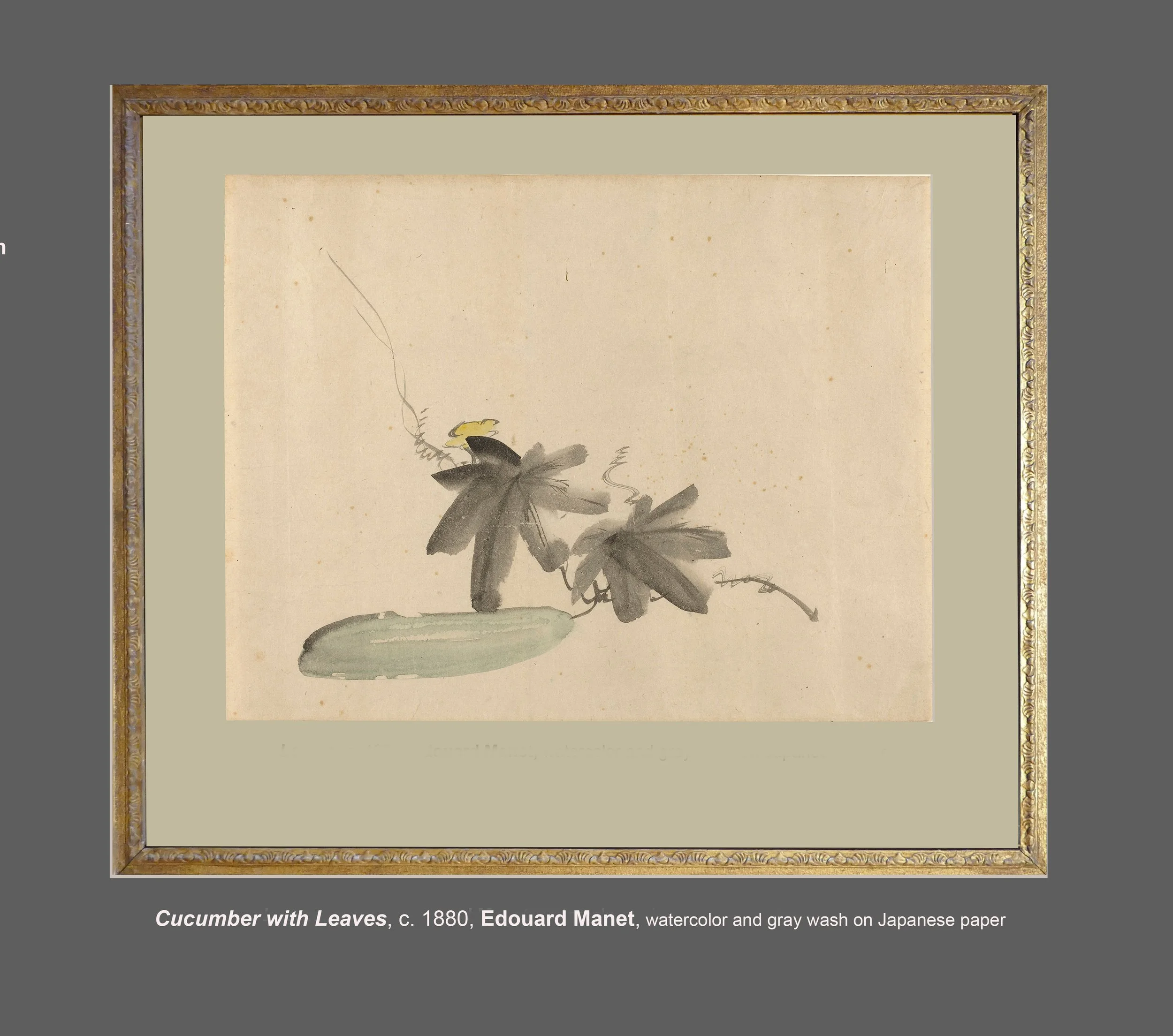 Cucumber with Leaves 1880 Manet-ST-3.jpg