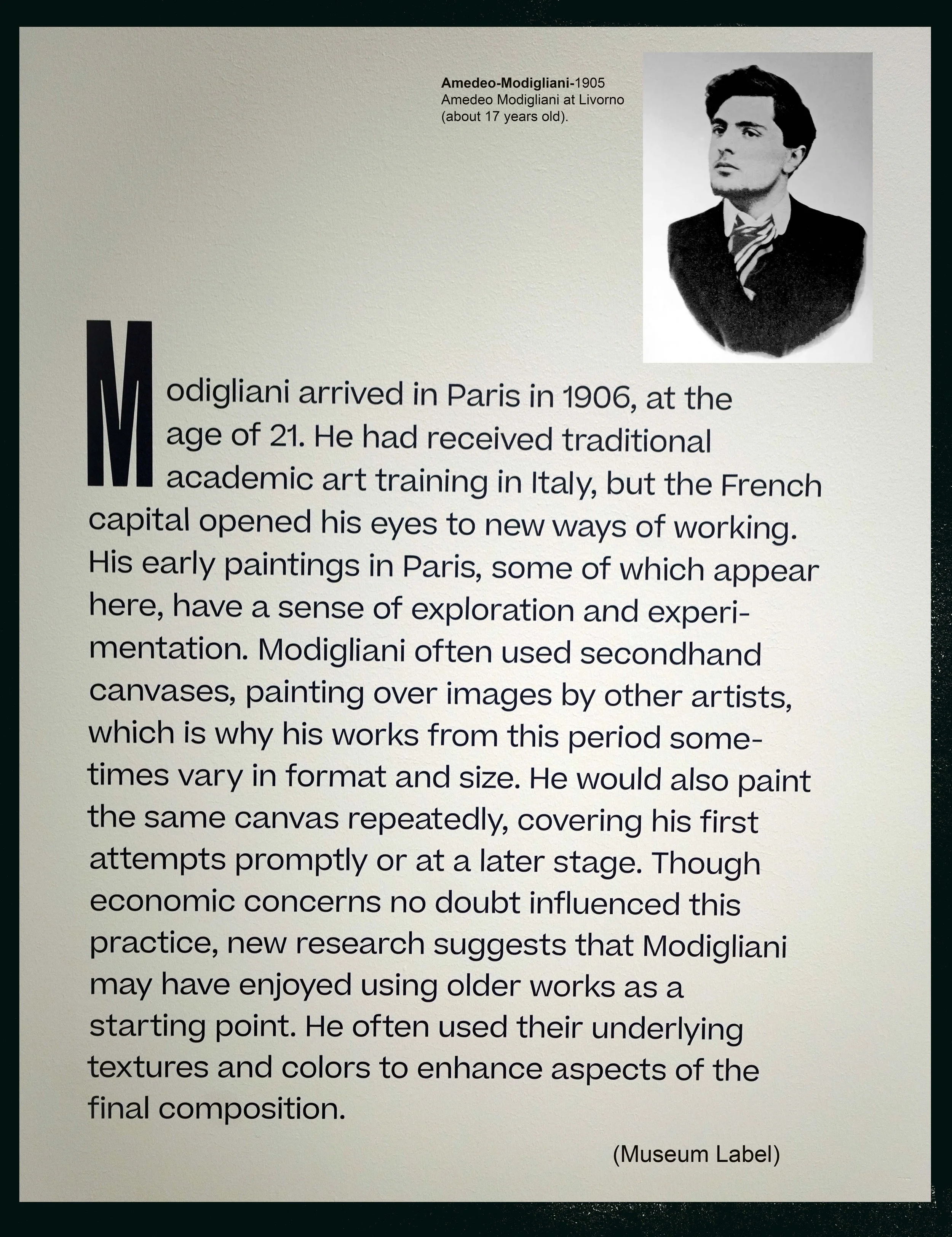 SSL00262_INFO_Modigliani_museum label.jpg