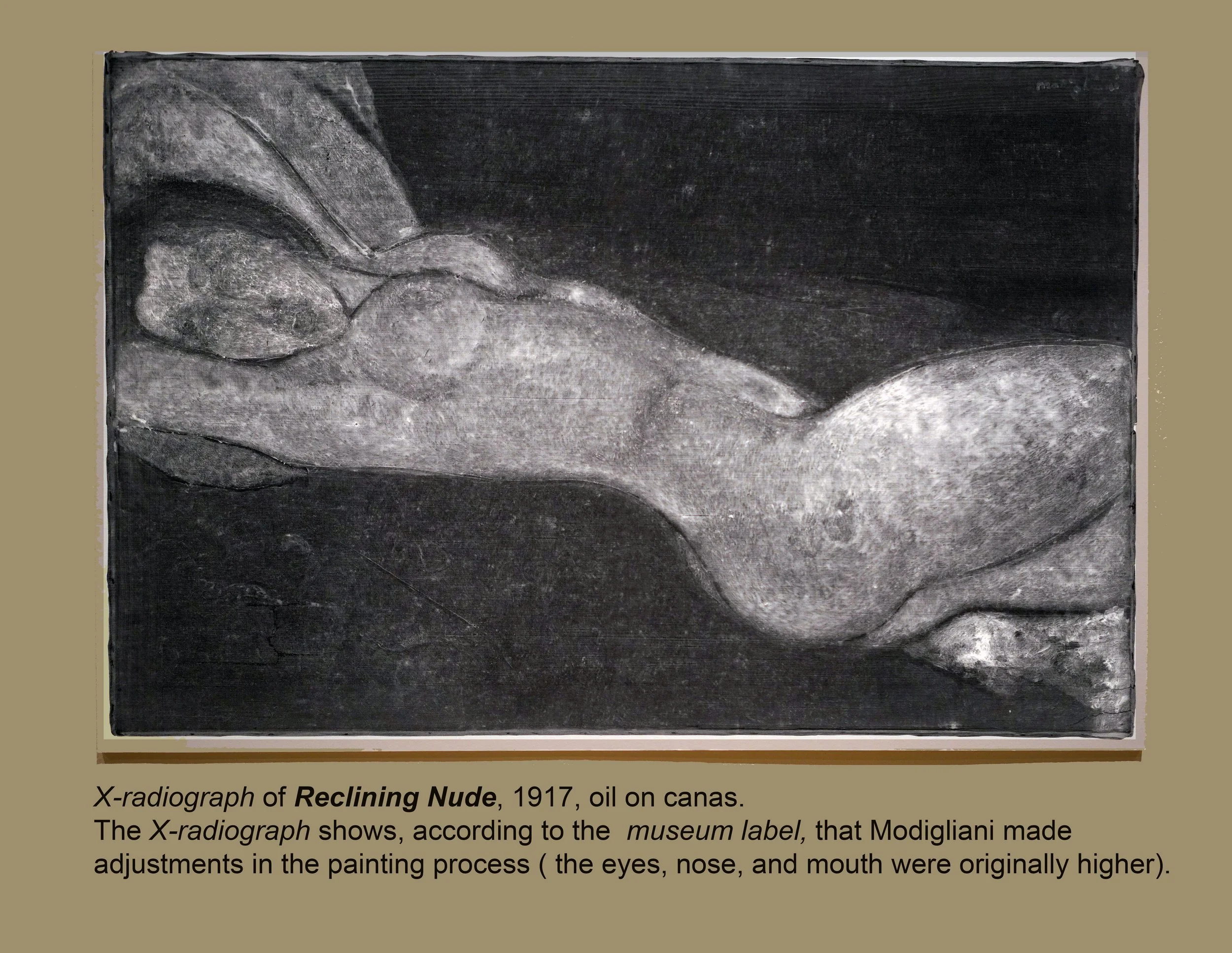 SSL00304_Modiglian_X-Radiograph Reclining Nude-1917_MET_ST-3_VER-3.jpg