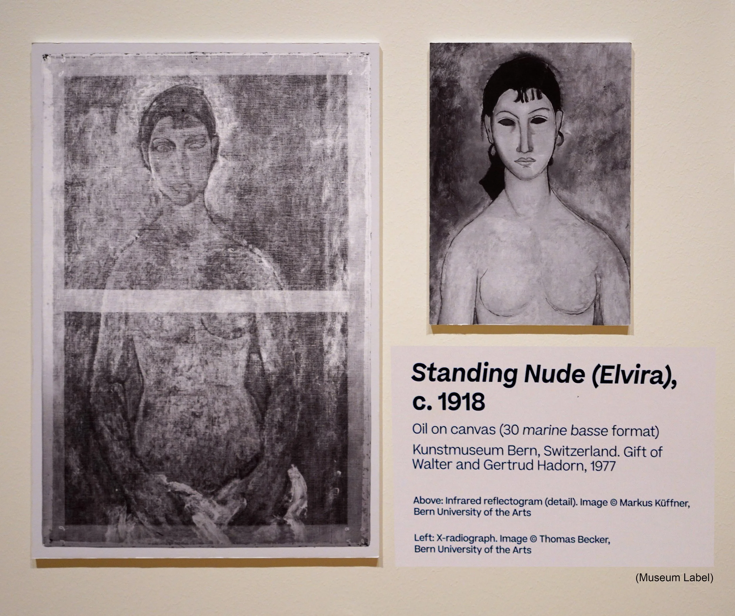SSL00321_INFO_infrared reflectogram and x-radiograph Elvira ST-3.jpg