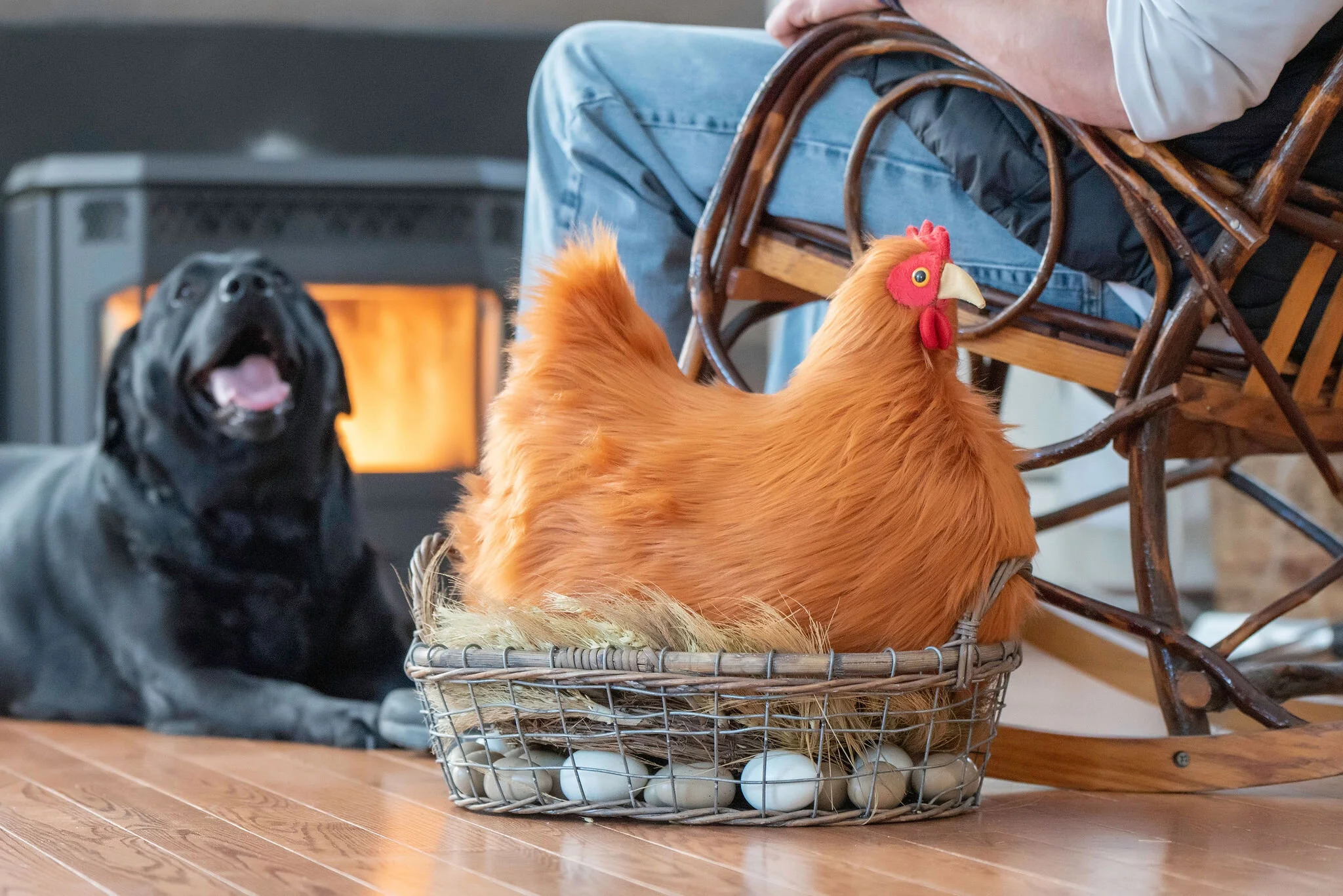 D12A98BC-7F81-4EBA-A4A9-A30B886B5A8A