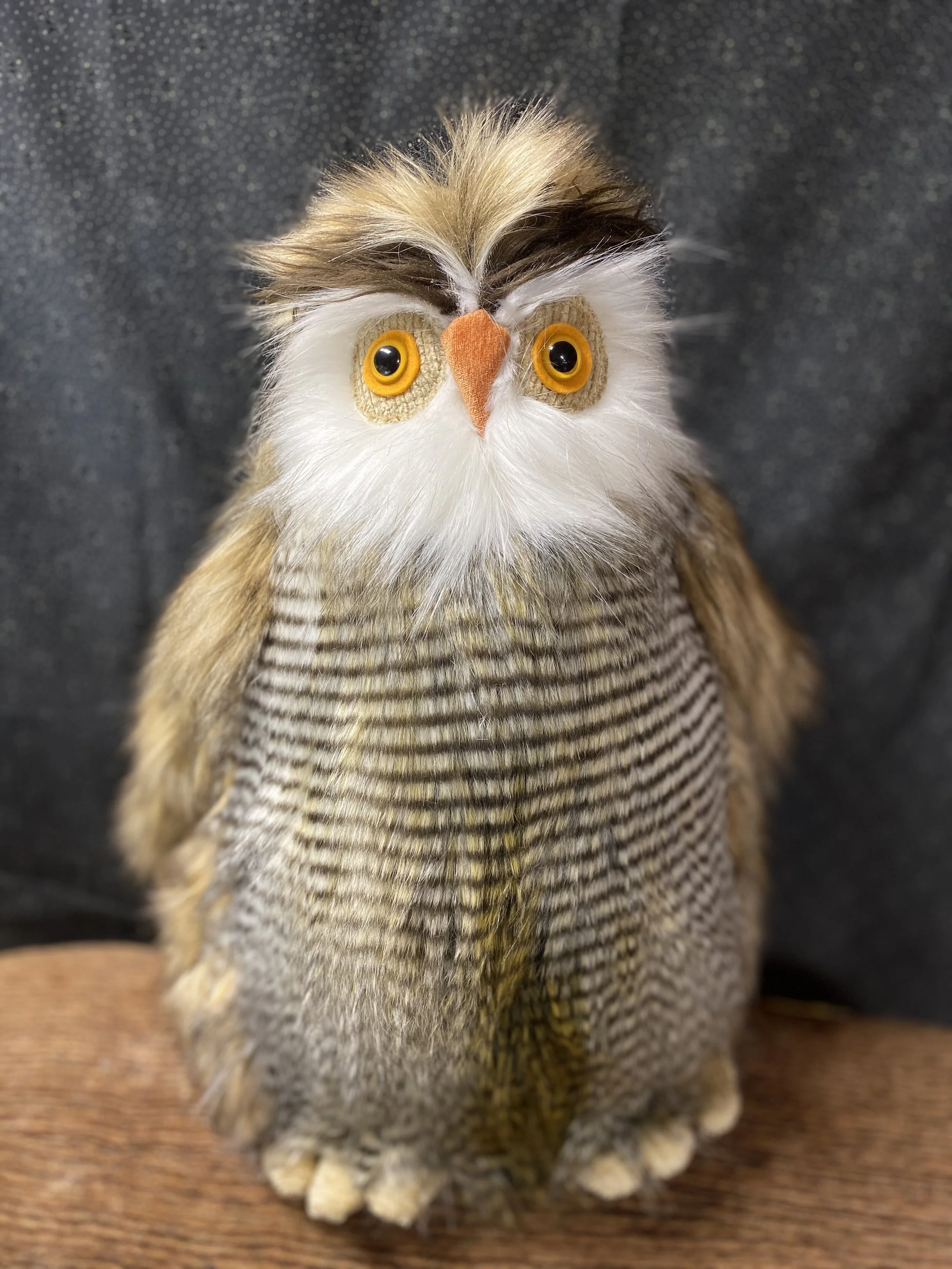 B5897F1F-FCC7-4511-9FA6-F33250DF727F