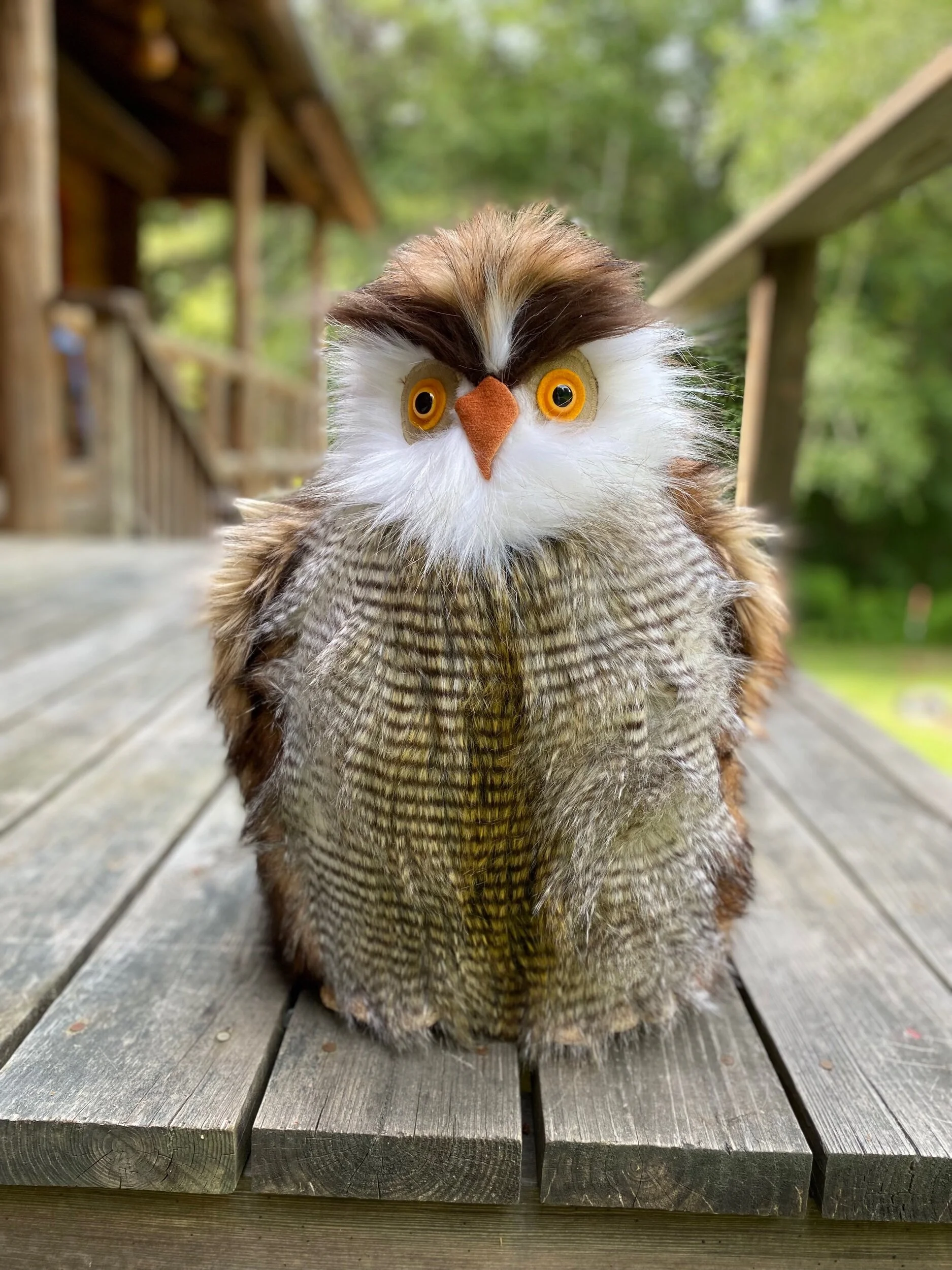 7CE1AFCB-679F-40C3-9483-BB1D35DFEABE