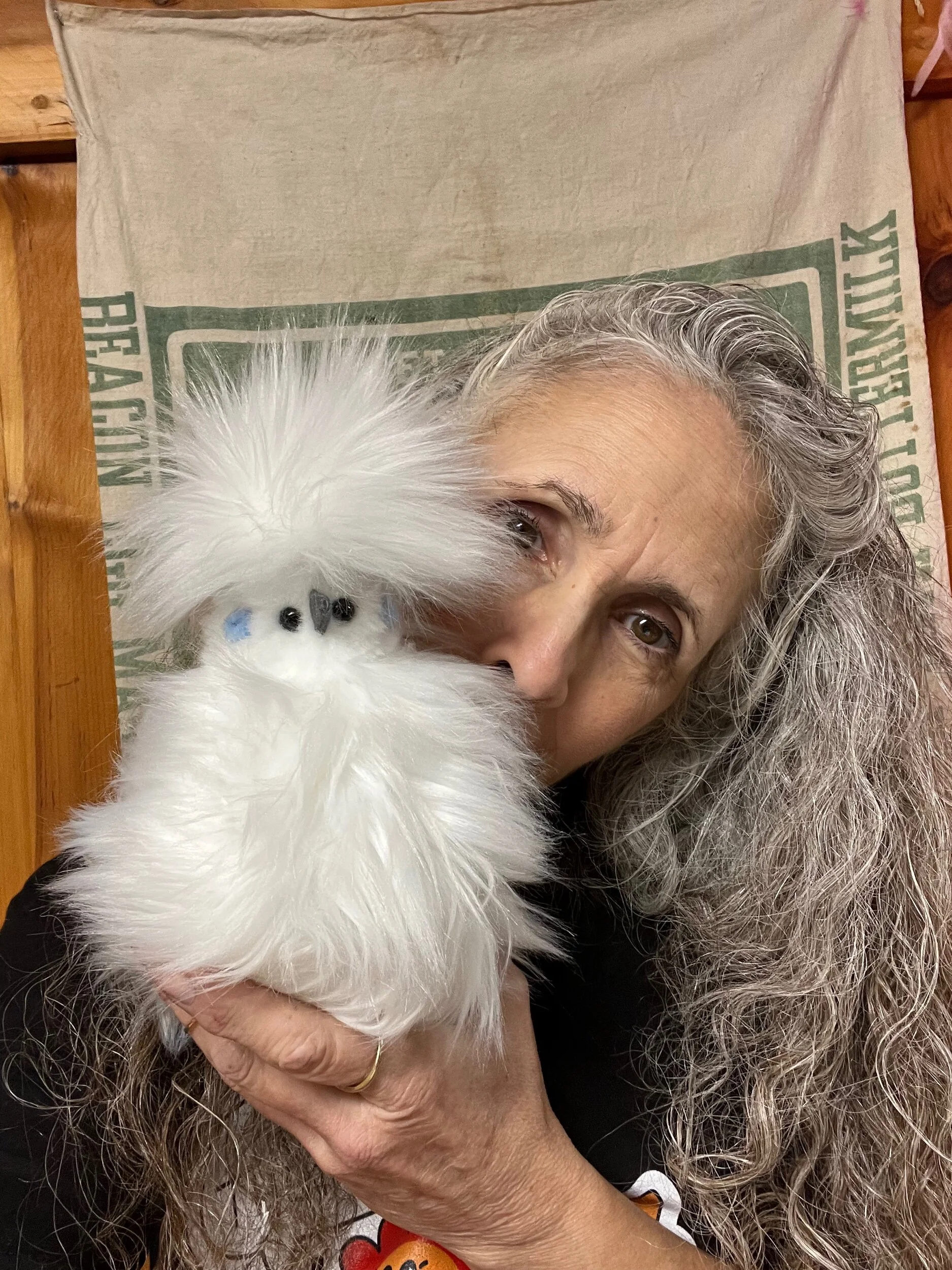 39A26444-AD72-49D0-8A4F-D2B570D01372