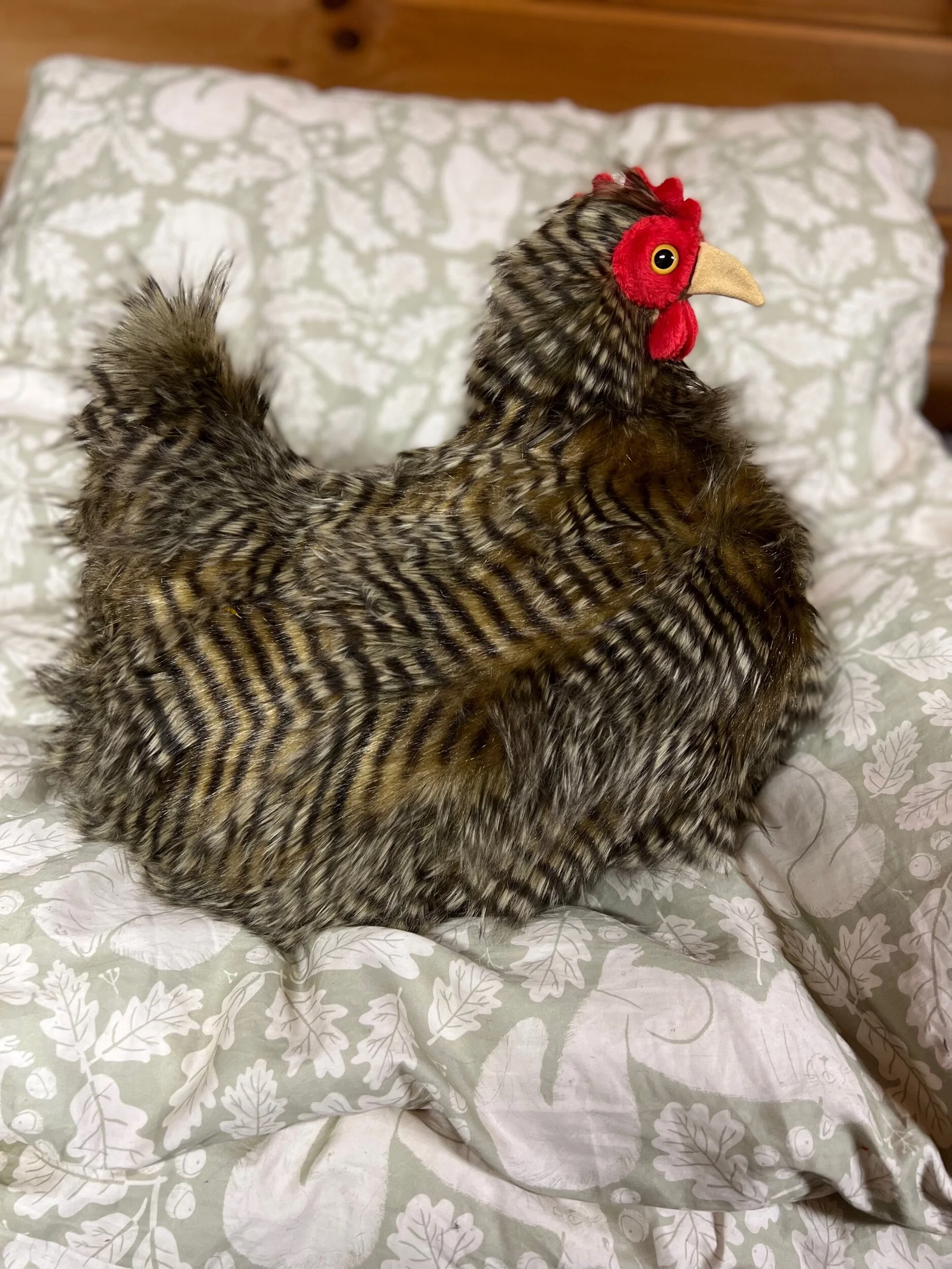 B5DB5CEF-8475-4875-B49C-9A02D12A3876