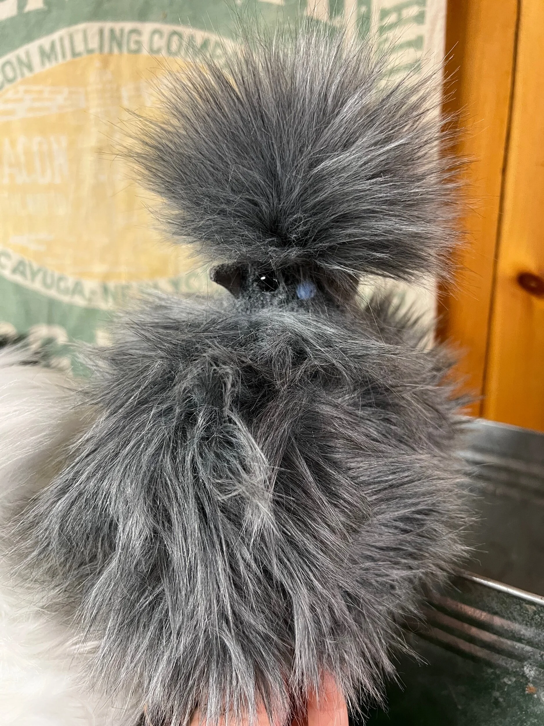 49615570-FCE0-4F96-B527-1F0E1D98E697