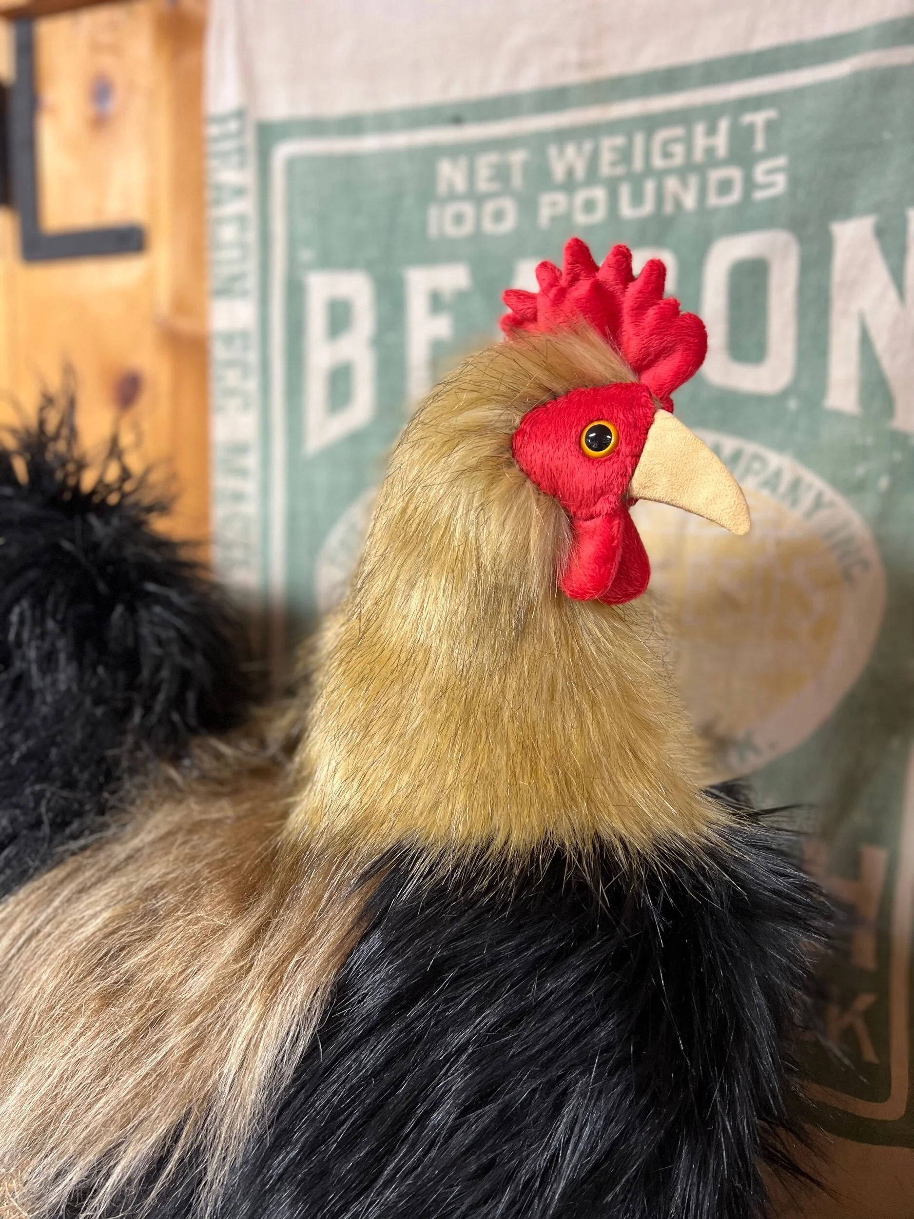 E5FE4CCE-6228-4A1A-A1CB-DFCE555AAD61