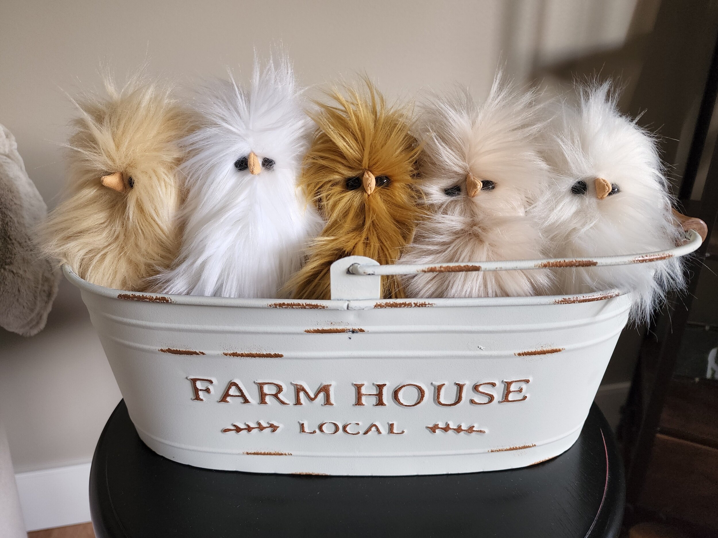 B3C258F8-D21A-4181-8B2A-8813D80E2DB5