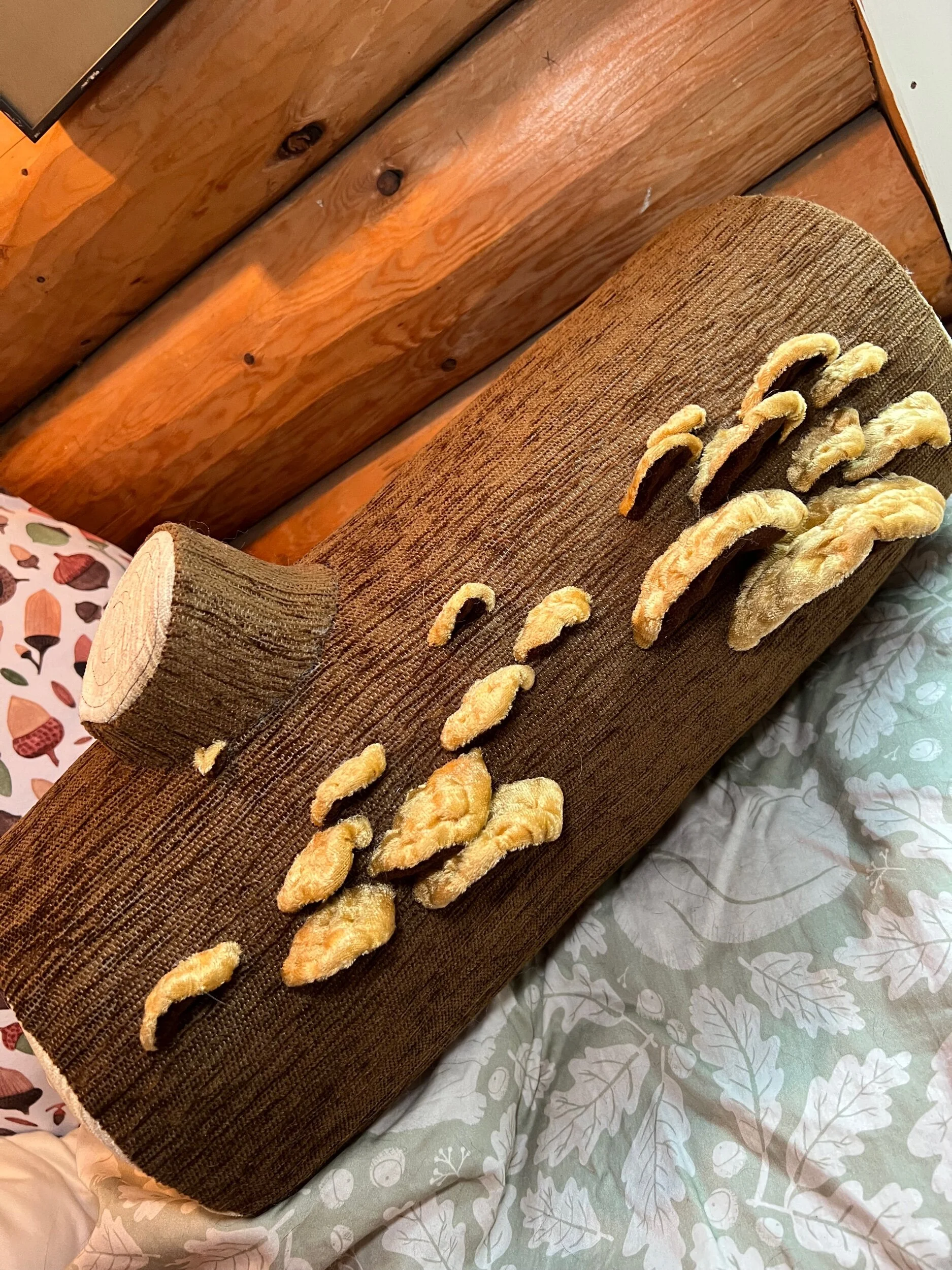 508117B4-B1B4-436D-B82E-B269DCB49BB9