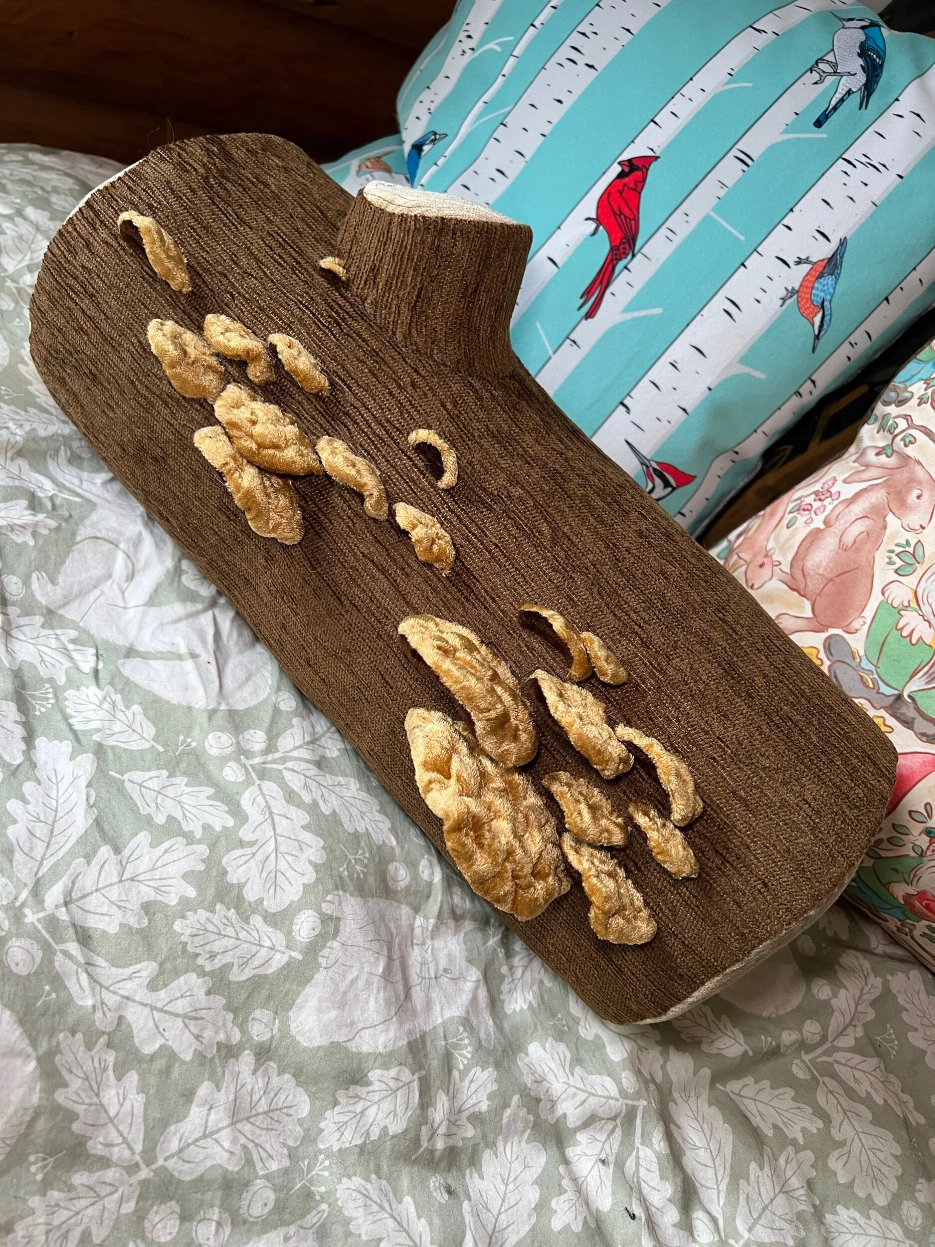 3983CCEC-BC98-4496-B0AE-7C1FC0751D38