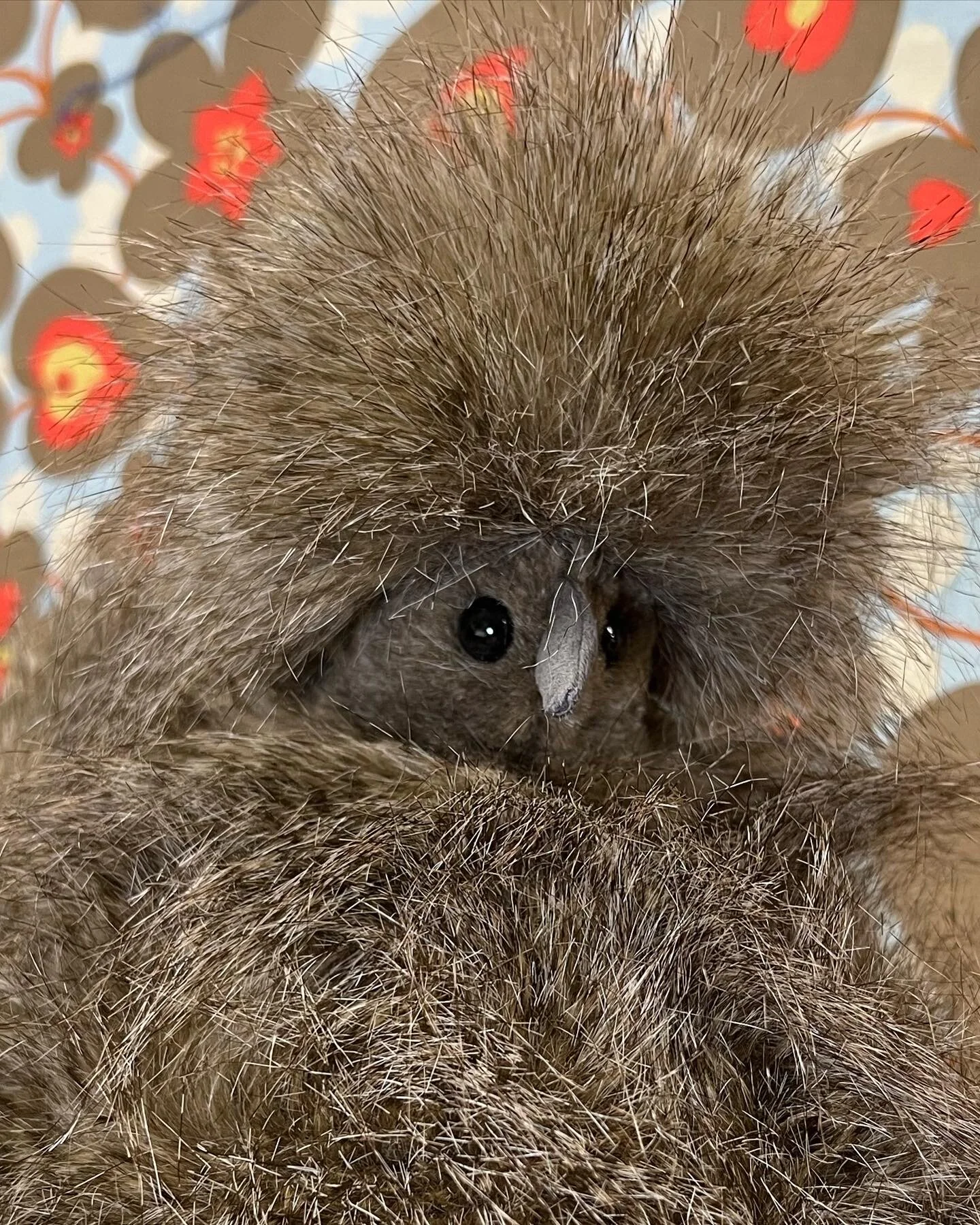 2730D628-B59F-40B5-BF02-CA6CAF3D0069