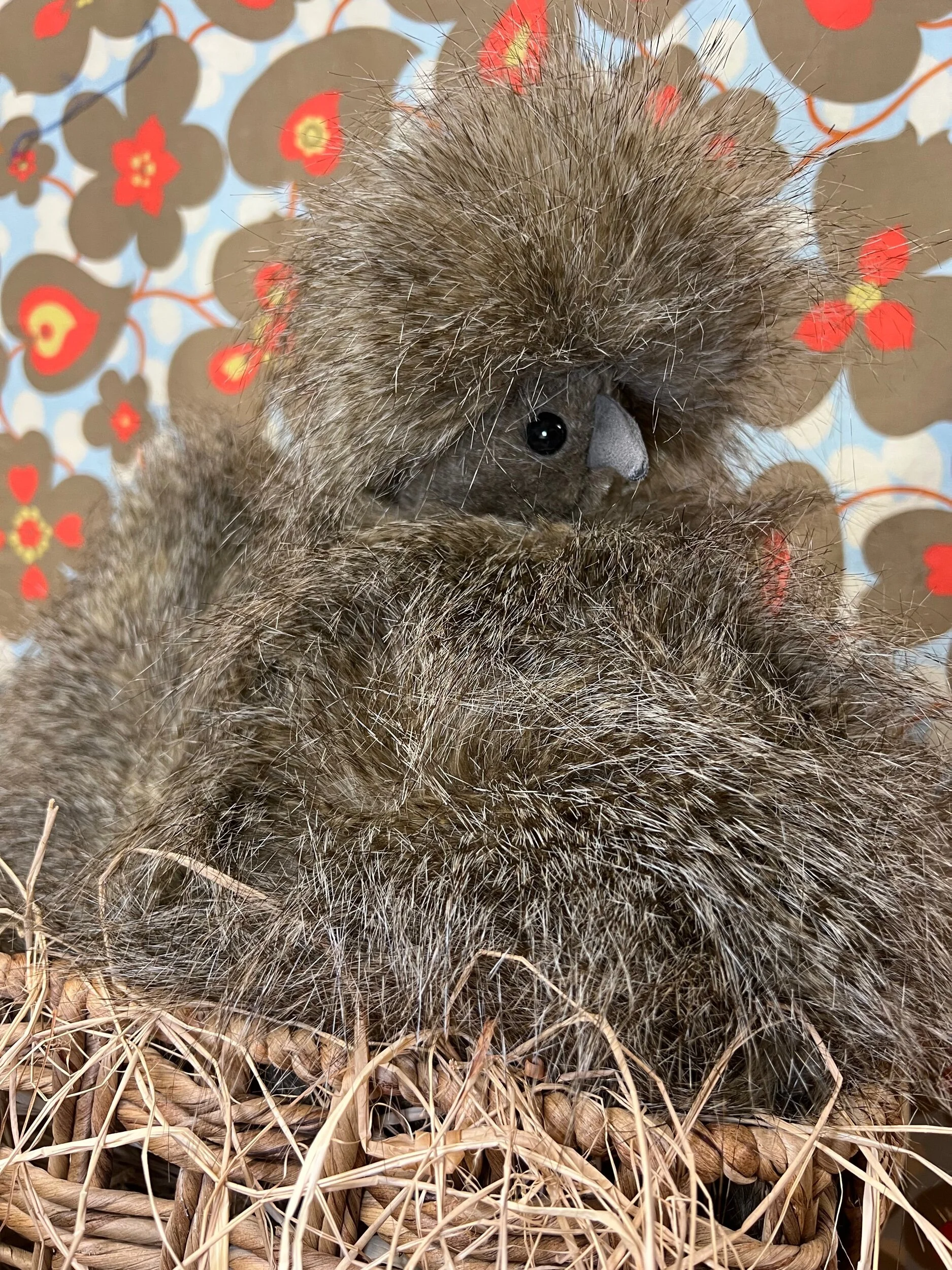 AA521949-53E9-461E-B306-023DC9C1D9AC