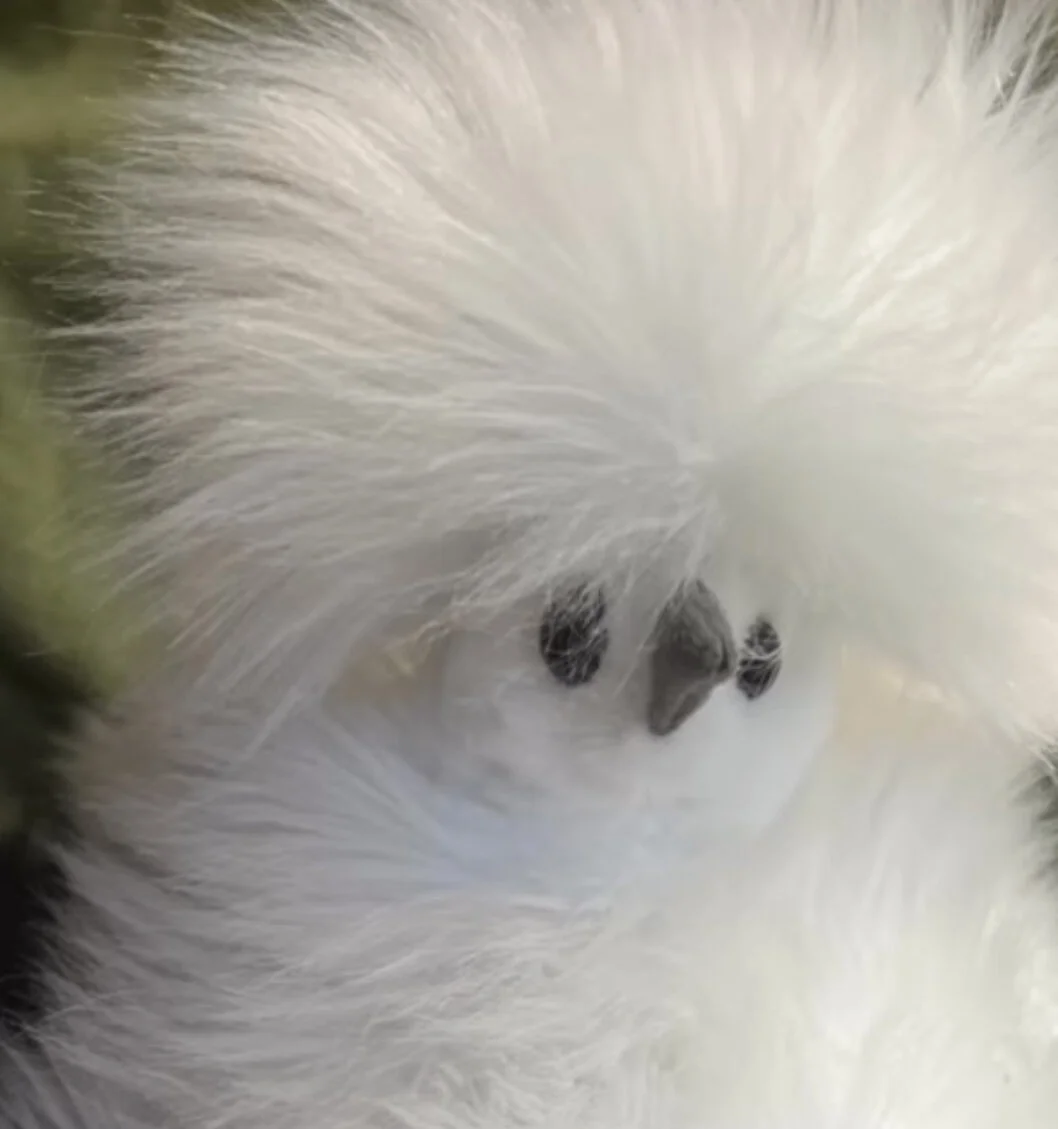 D076C634-1D03-41EF-92CF-E8DA8E3814A2