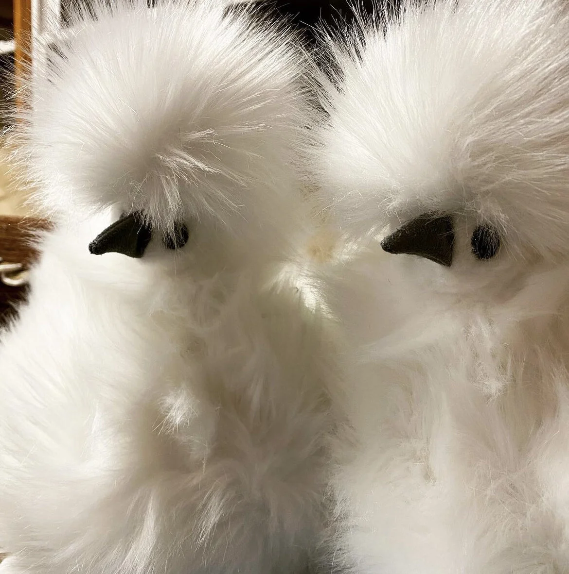 1CA40A96-14A6-4C83-A5EE-247B0EBD0687