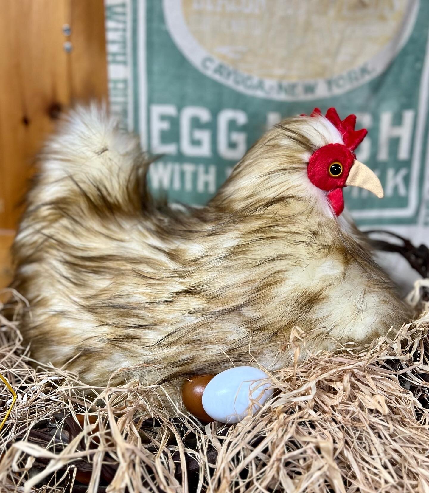 78B6CAA5-2451-434B-BB0B-24BE5C466434