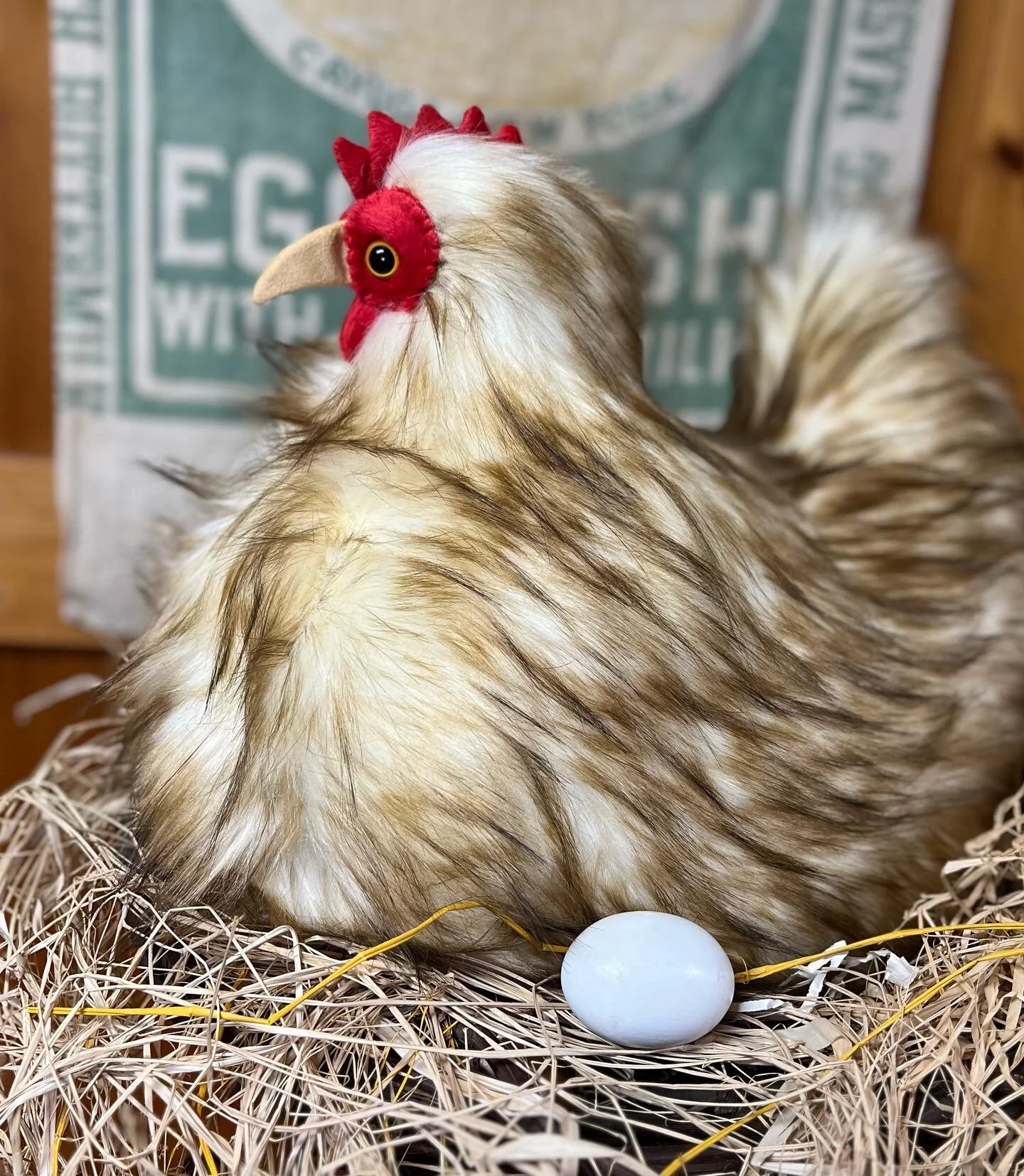 EBE6169E-251A-4C5E-B724-56F92E8BF4B0