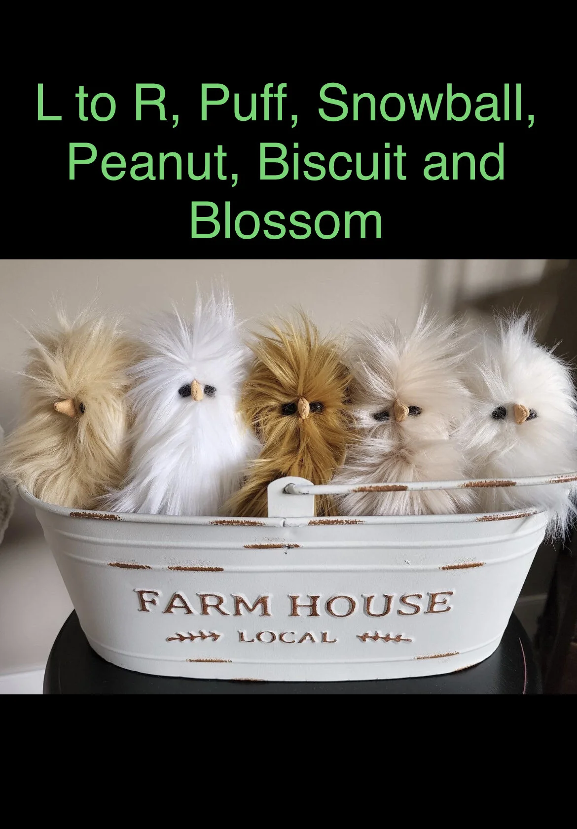 4D31F25B-75B6-4539-ABDB-41D8EE0862AC