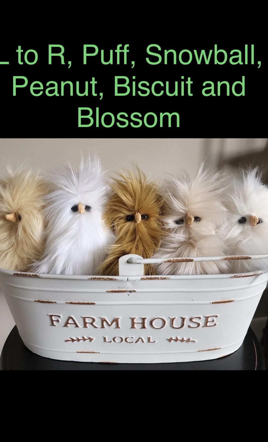 7411EC53-1FF0-4081-8D0C-06CDA4C4335D