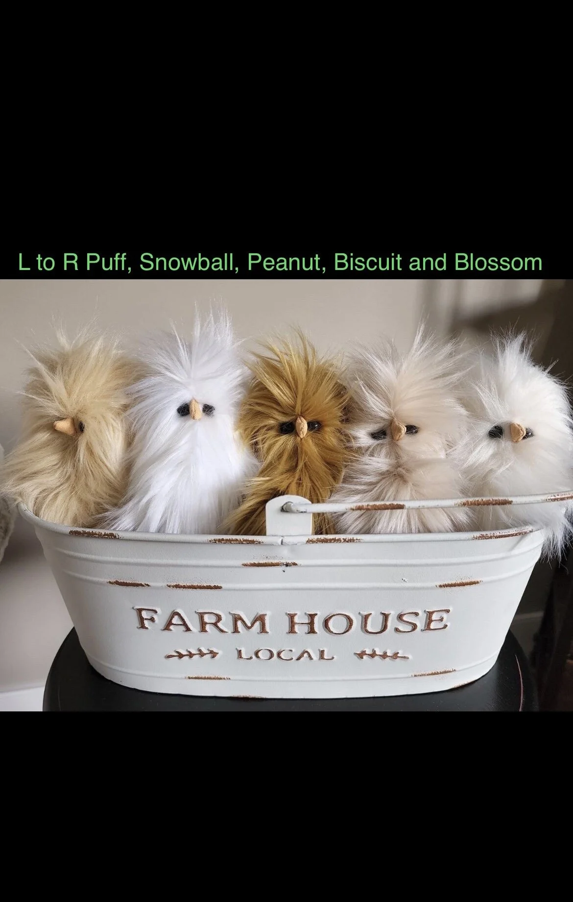 8D435162-8E8F-4A3C-8A06-52625BE9C51A