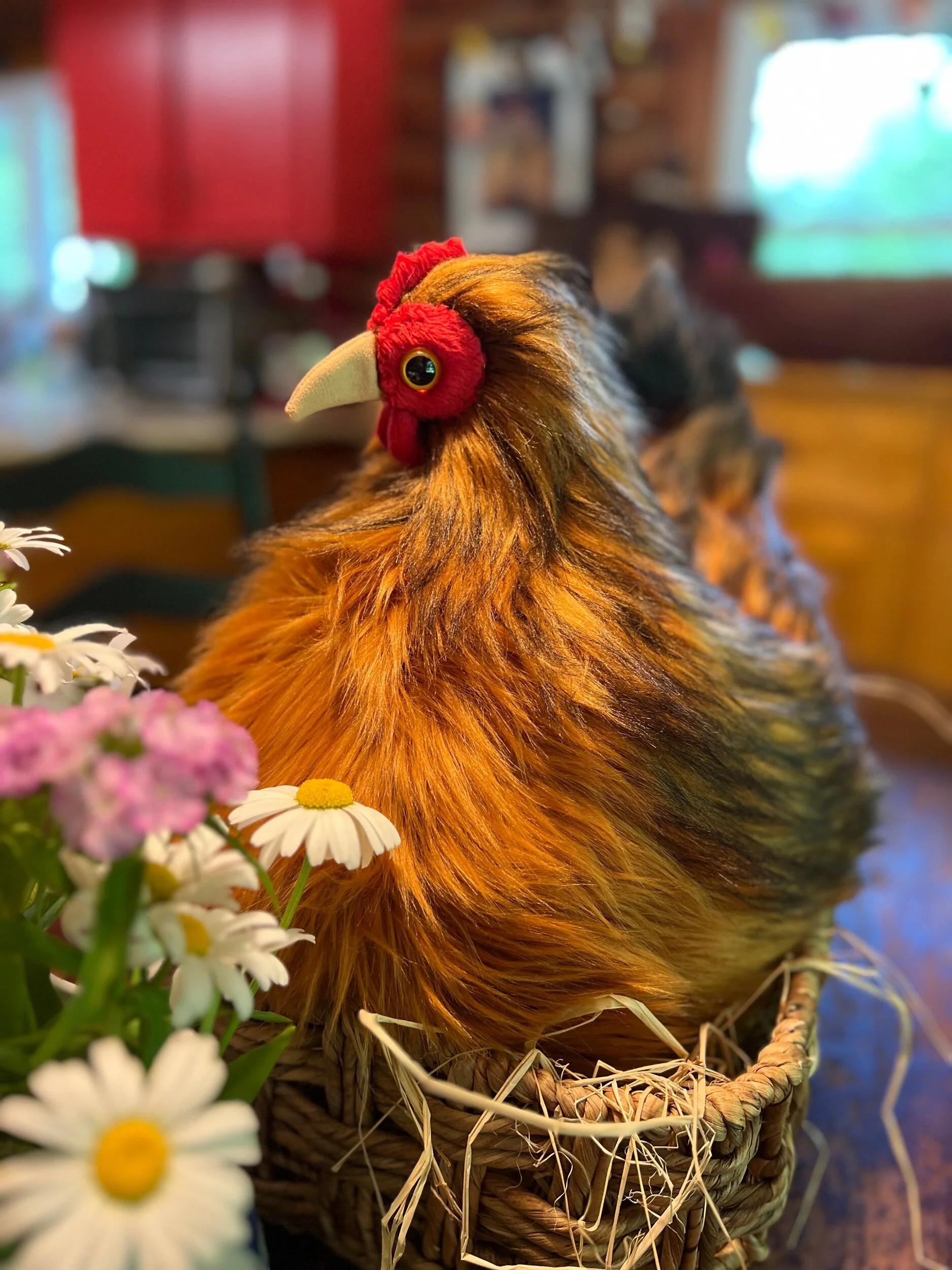 E16D28C5-9AC9-4927-8FCD-E48EF7594F3A