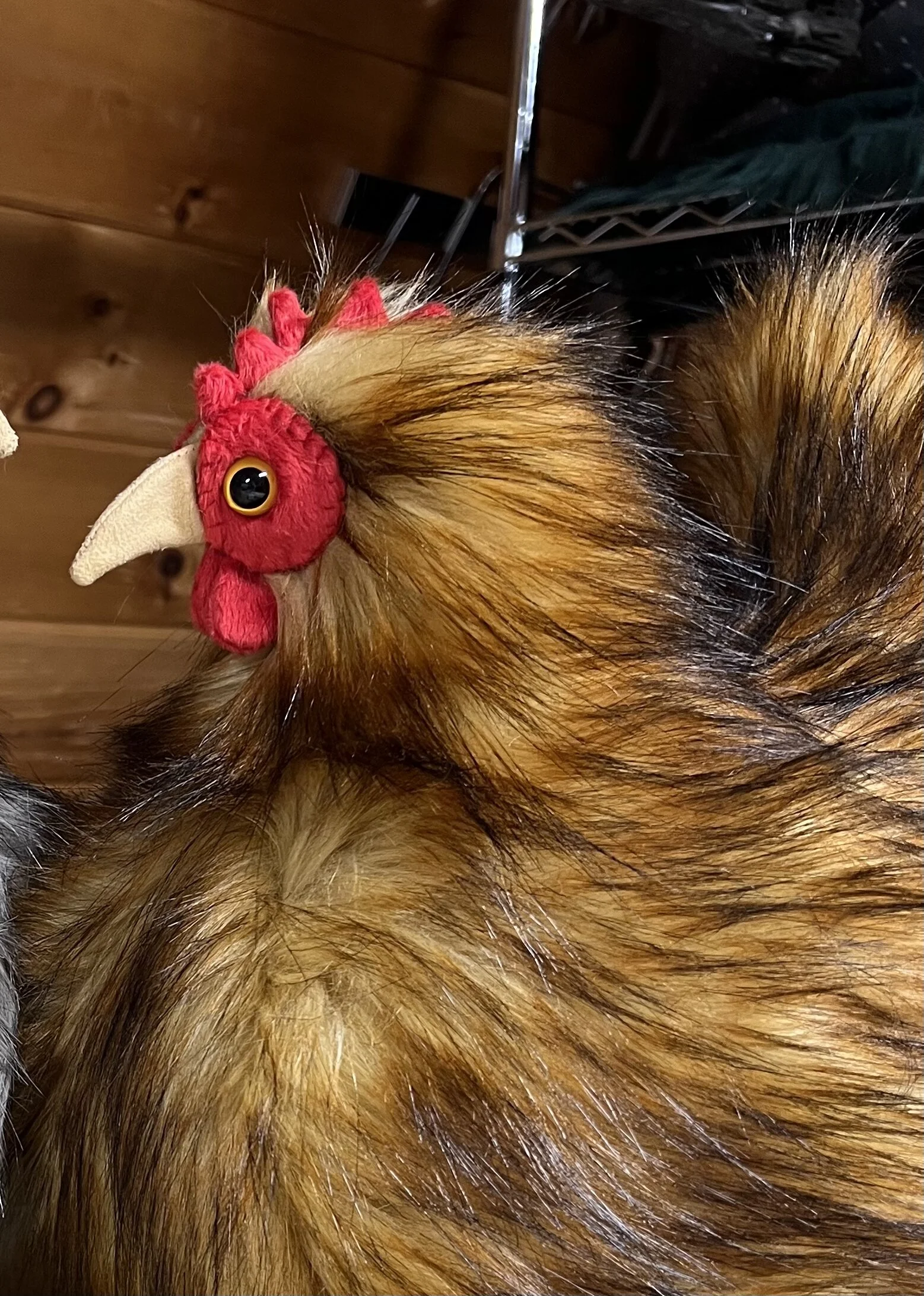 443330E6-8BF5-478D-A5D1-21B57B1C1F3C