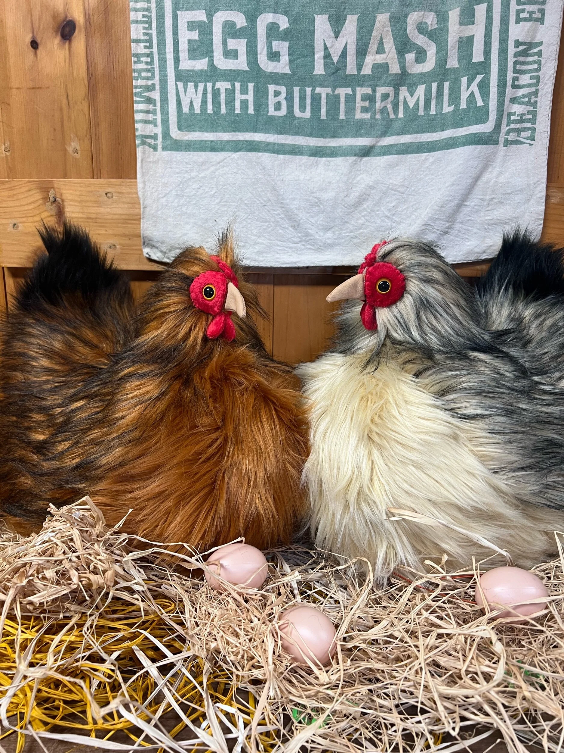 903B1F0F-C2C4-4843-AAC4-07493960759A