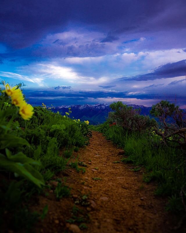 Utah nights, just can&rsquo;t get enough of them! #utahlandscapes #utahisrad #sonya7riii #gmaster