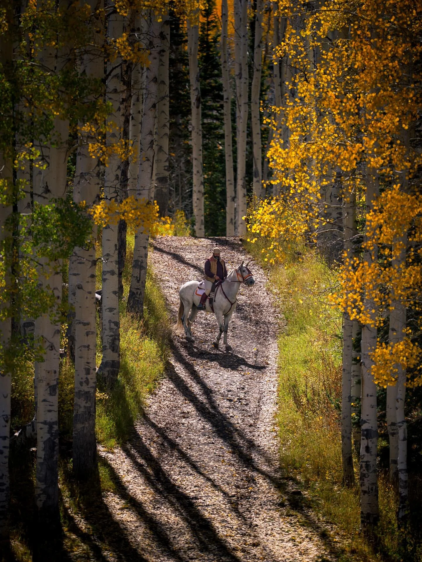 I always envisioned this shot with Fausto on his Adventure moto but atop his Friesian horse is much more fitting for the scenery.