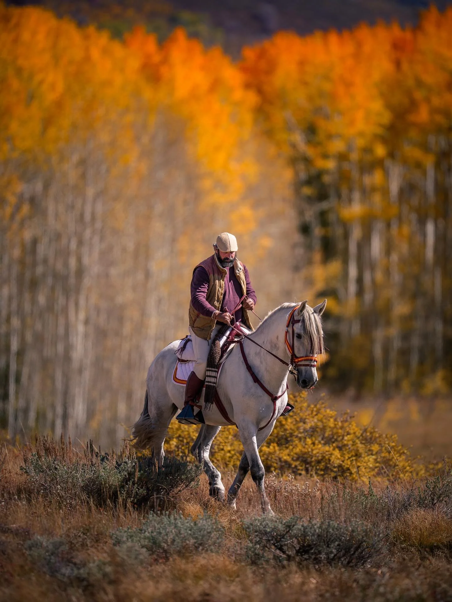Beauty surrounded by beauty. Cost us $600 in parking tickets but still worth it. Fausto has always wanted to ride through the golden aspens in Guardsman and we made it happen.
