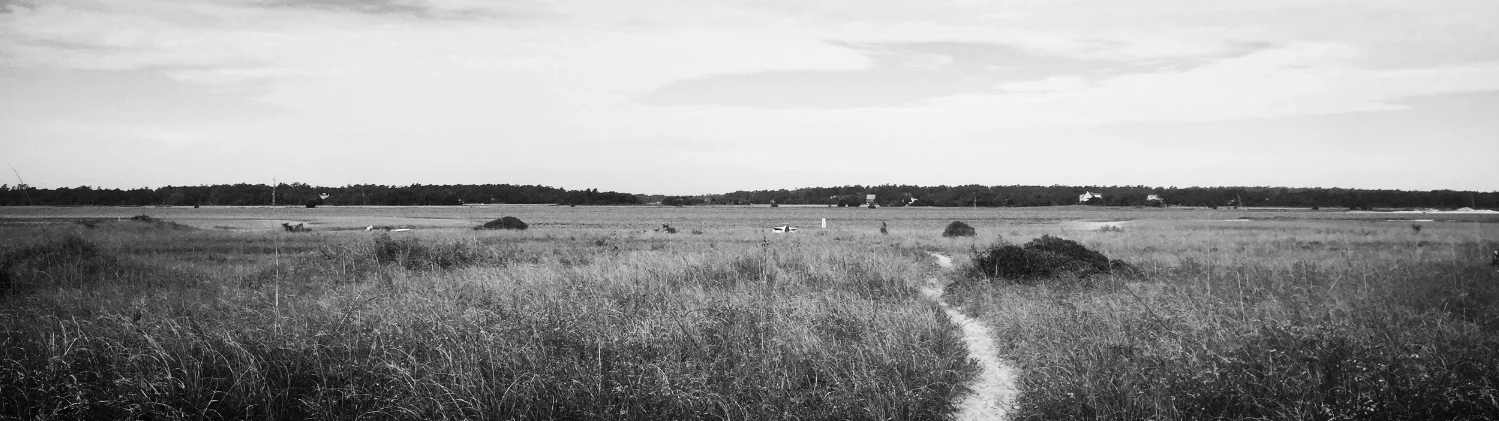 Masonboro Path.jpg
