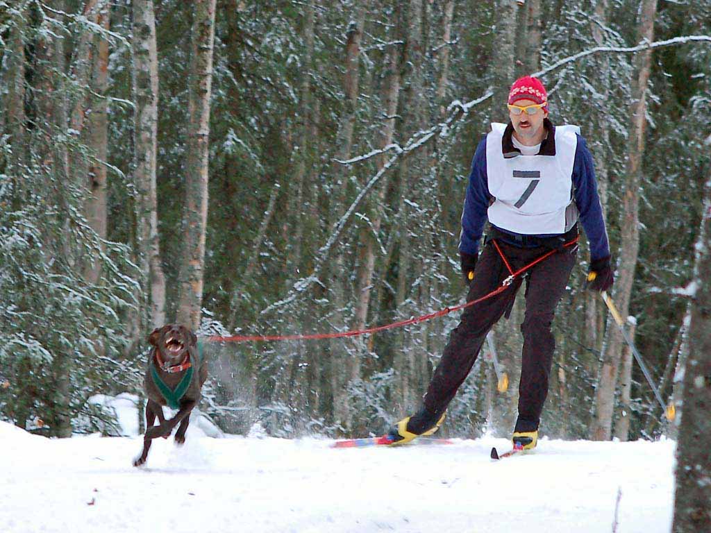 Skijoring-Chugiak-10Dec06-061.jpg