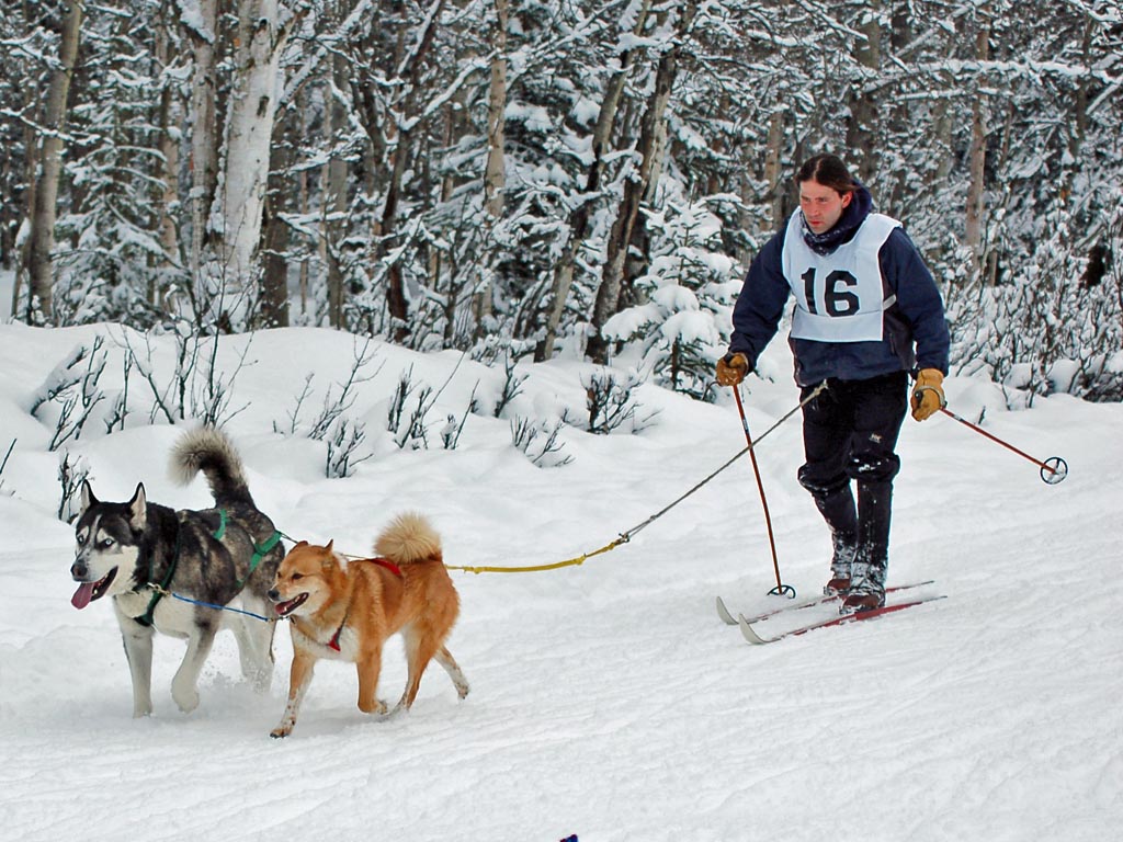 Jason Vogel with Yukon and Kato