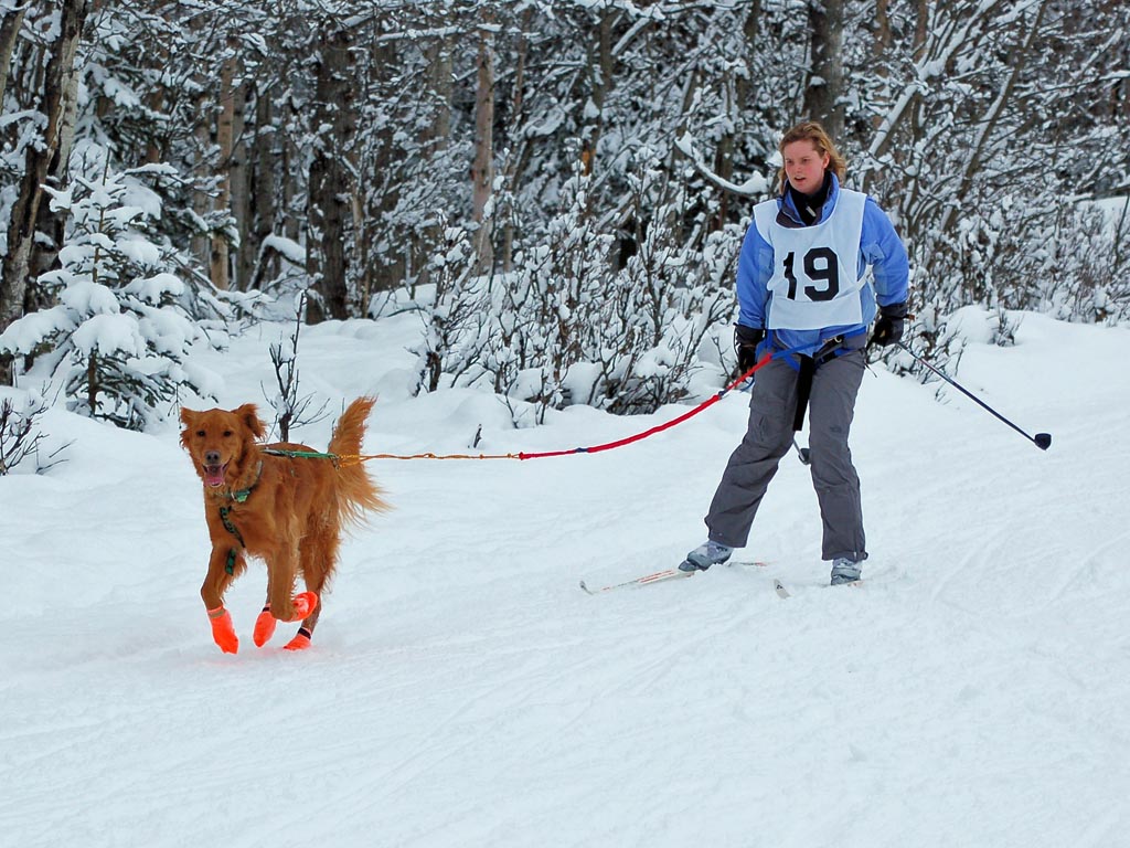 Katherine DeSimone with Boomer